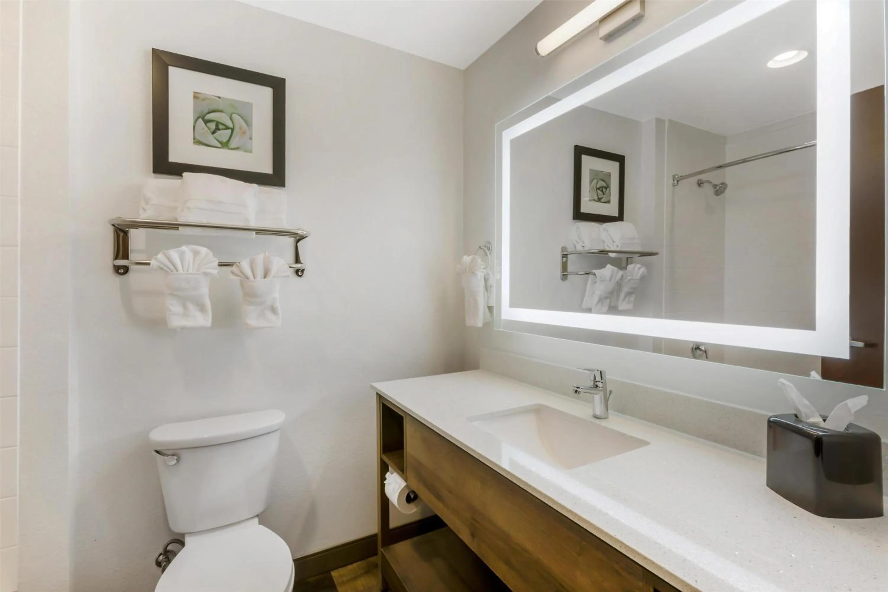 Bathroom in Best Western Plus Casa Grande Inn & Suites