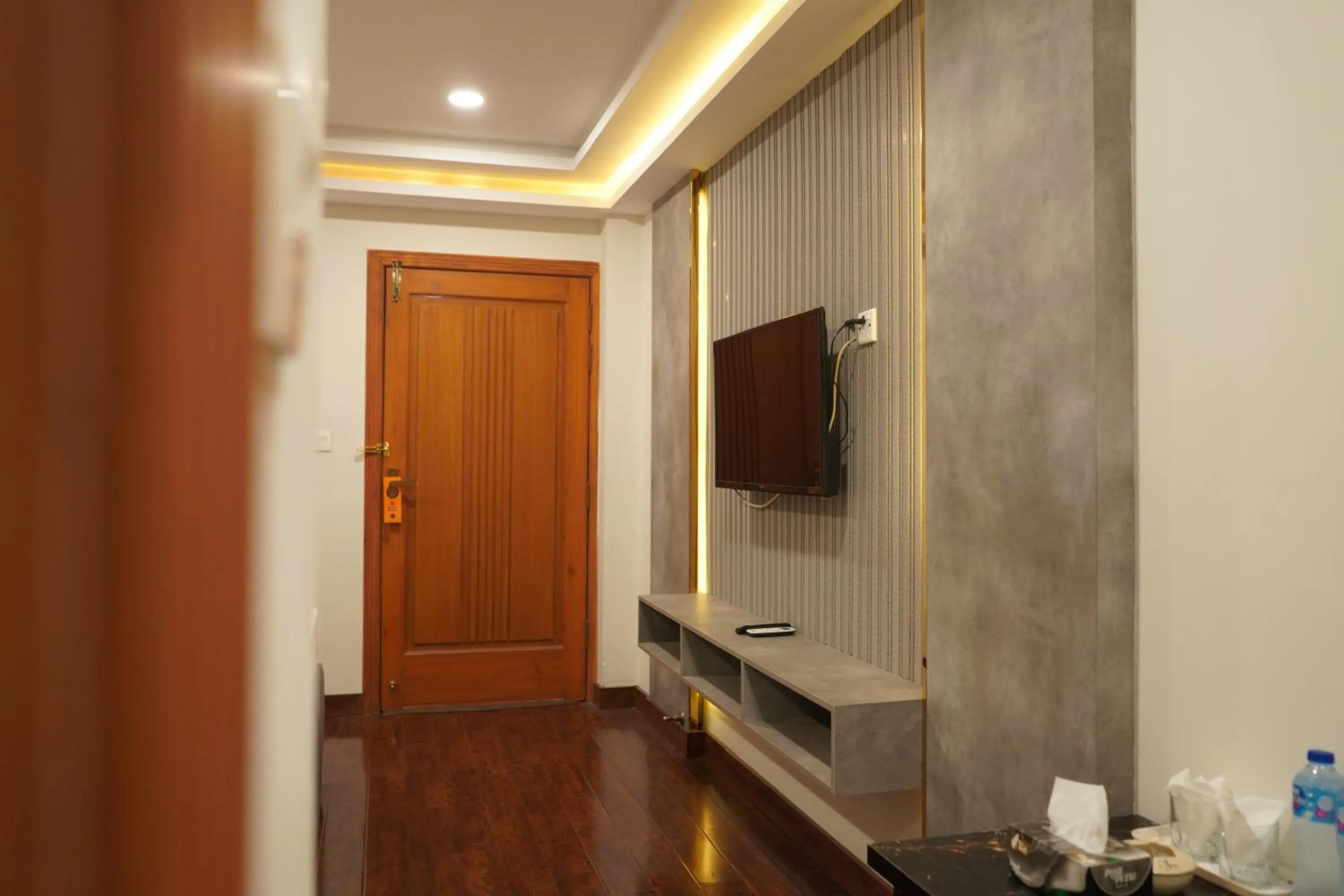 TV and multimedia in Hotel de Papae