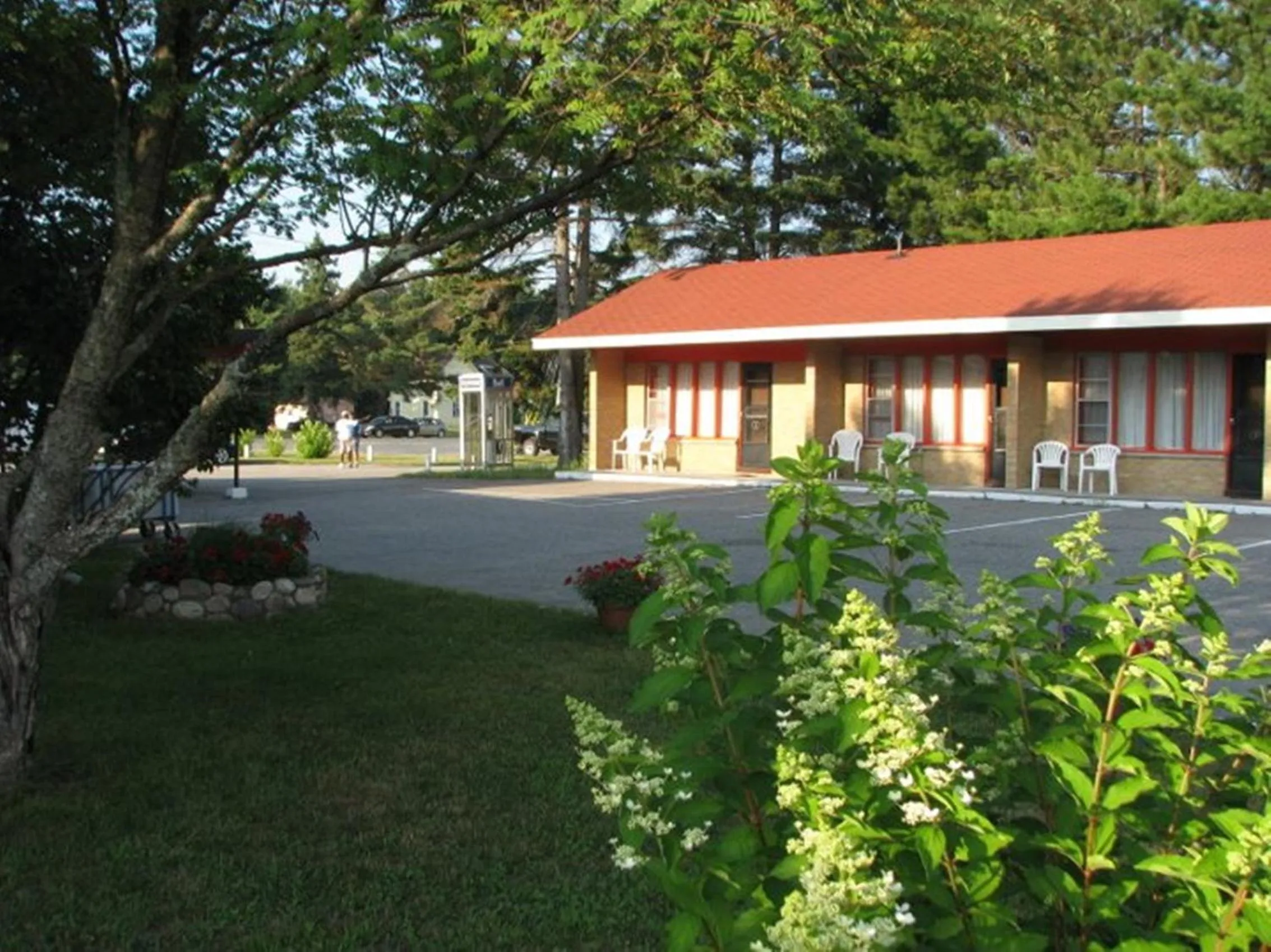 Garden in Red Top Motor Inn