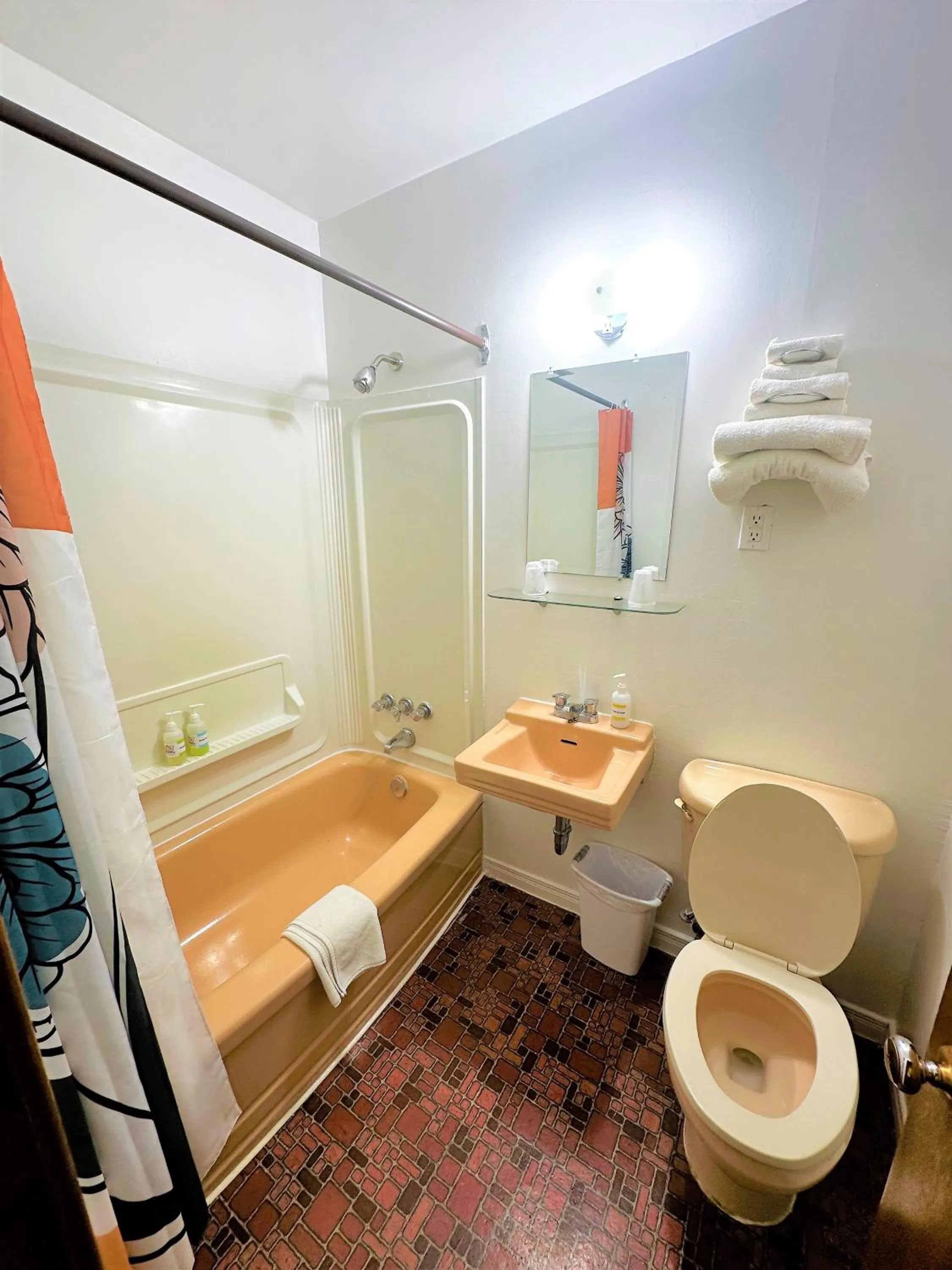 Bathroom in Red Top Motor Inn