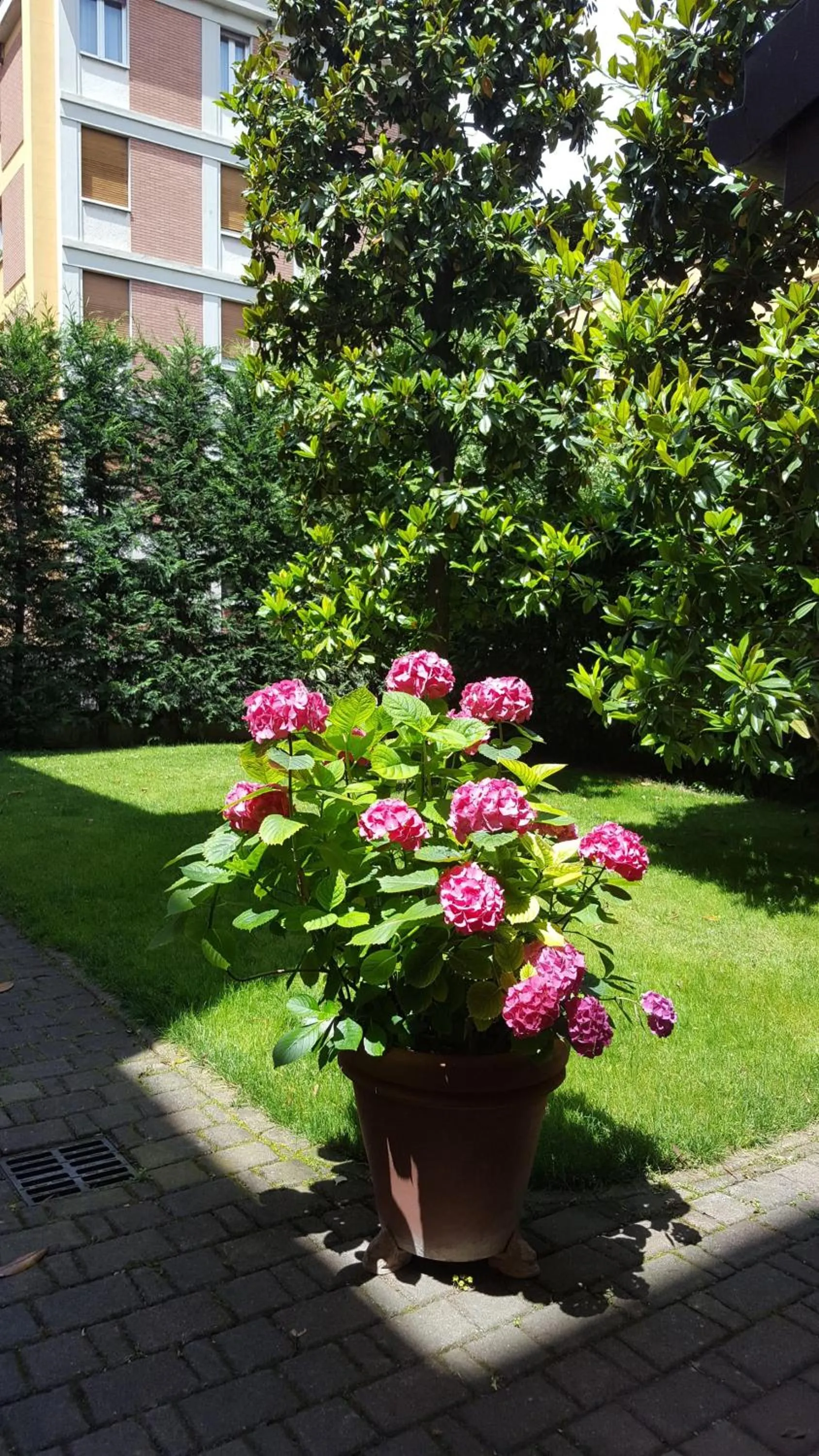 Garden in La Magnolia B&B