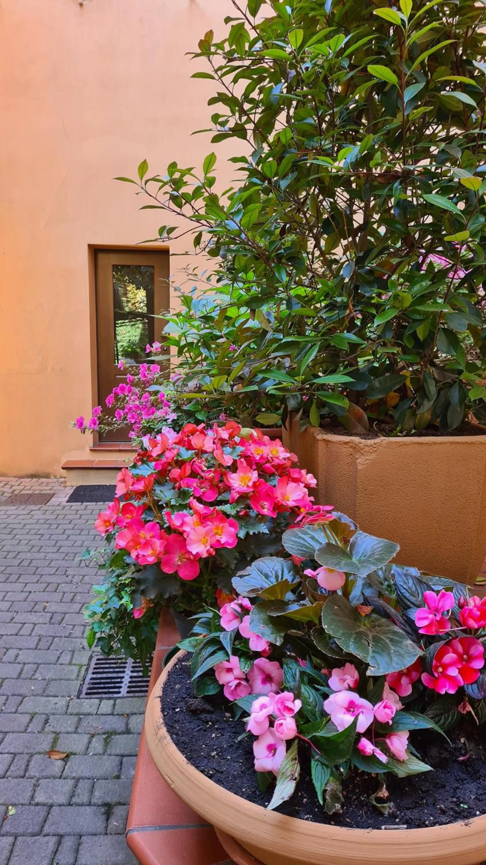 Garden in La Magnolia B&B