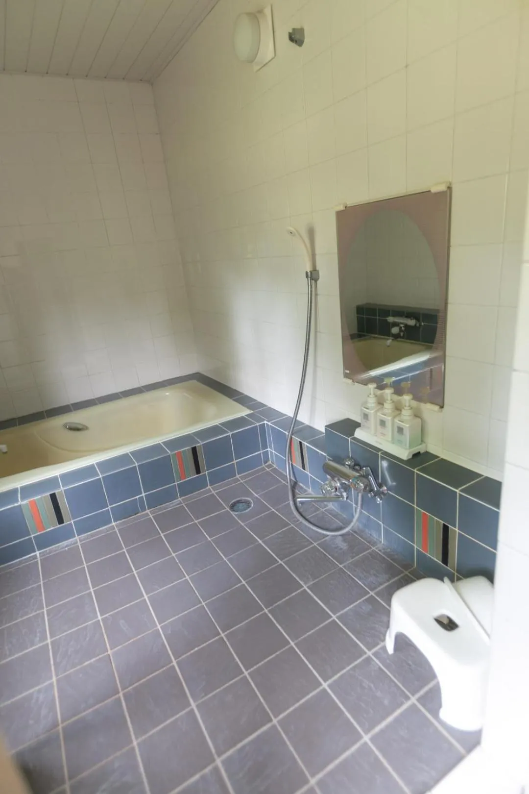 Bathroom in Niseko Ski Lodge - Higashiyama