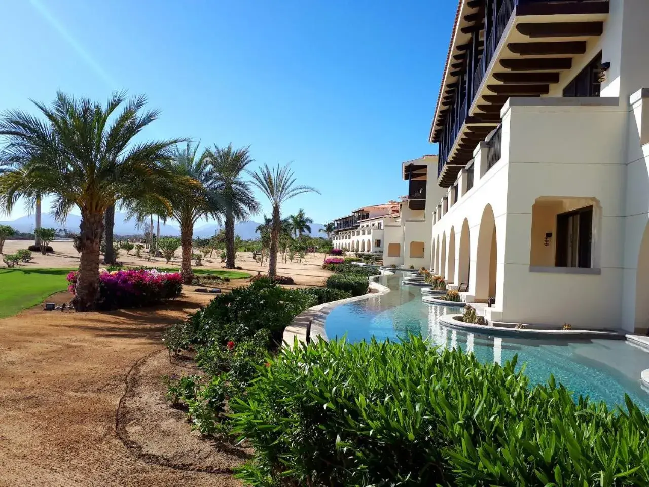 Swimming pool in Secrets Puerto Los Cabos Golf & Spa18+ Swimming pool in Secrets Puerto Los Cabos Golf & Spa18+