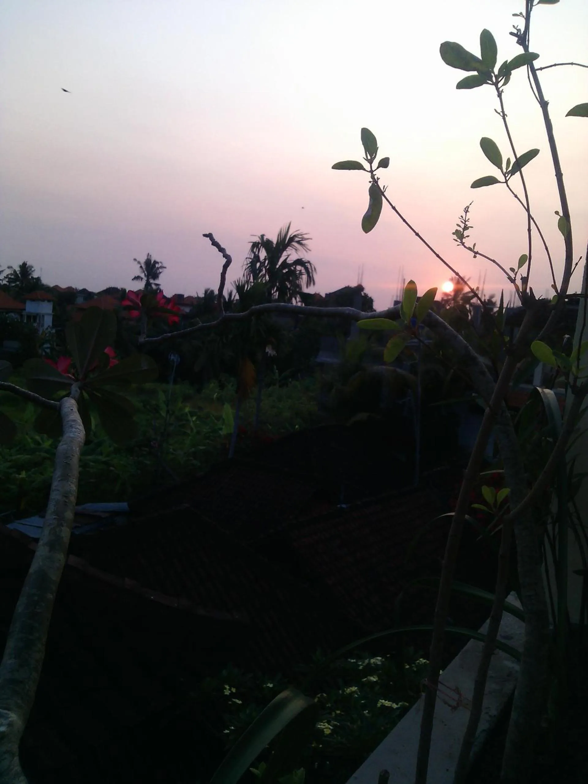 Garden view in Kabera House 2