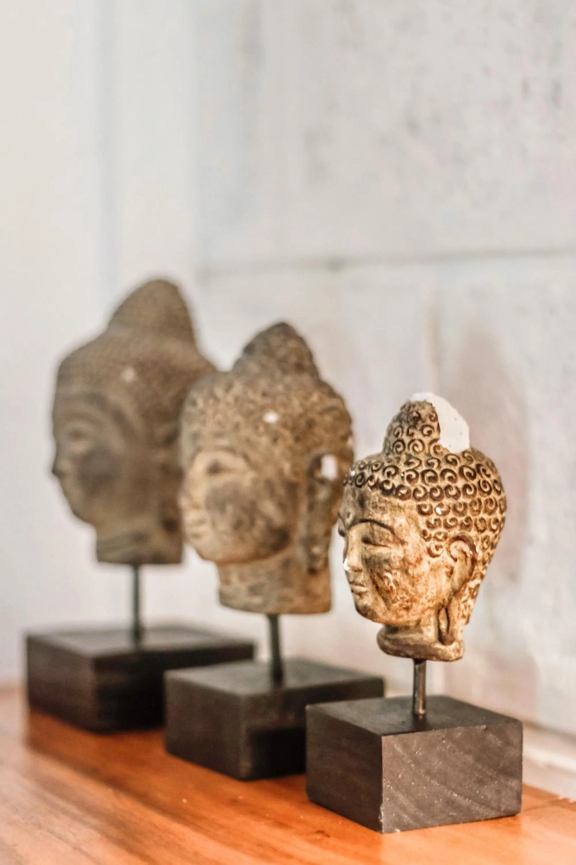 Property building in La Cabane