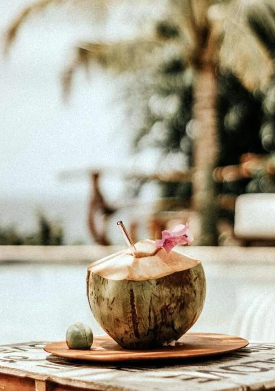 Restaurant/places to eat in La Cabane