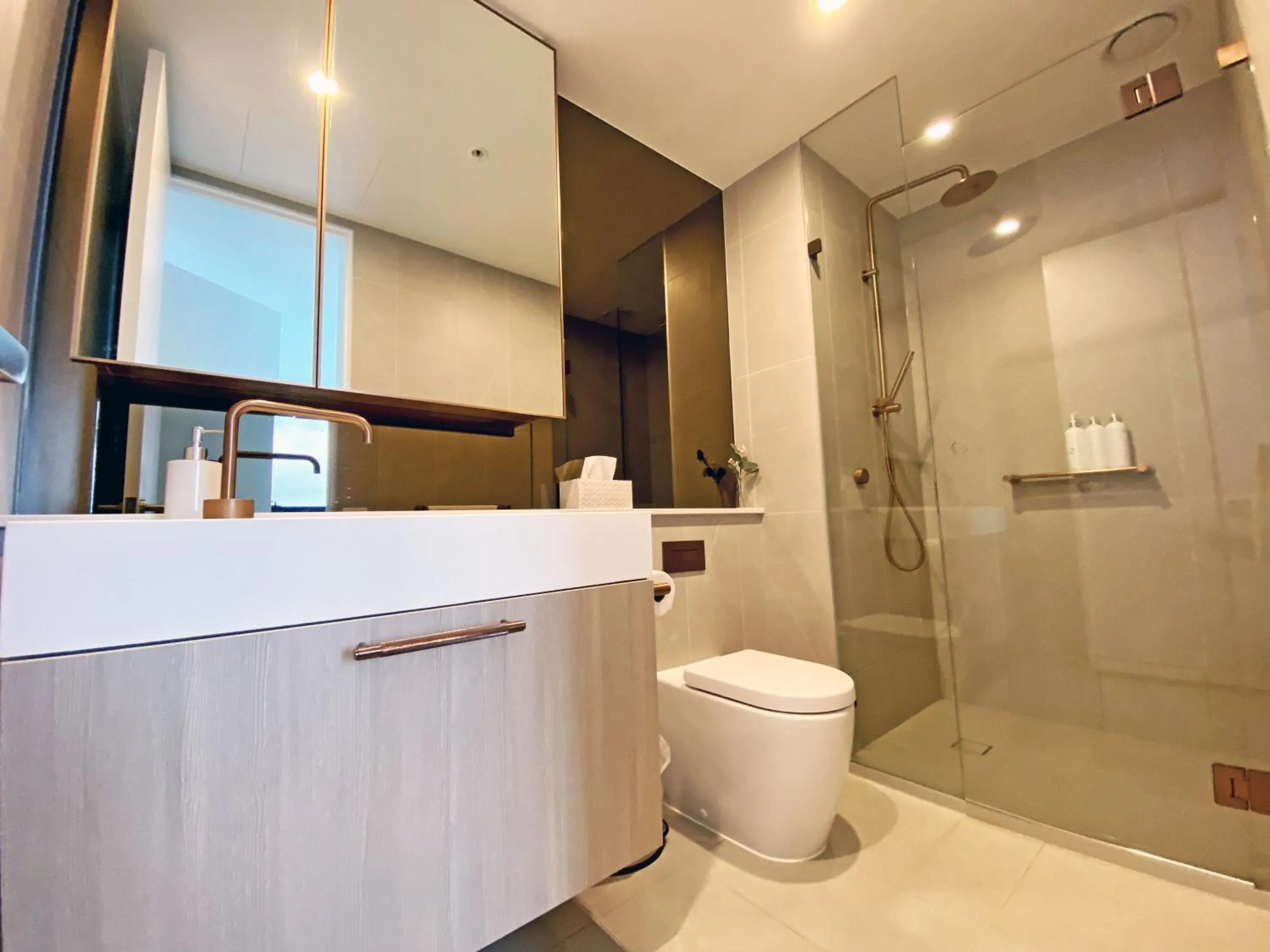 Toilet in Skygarden Luxury Condo