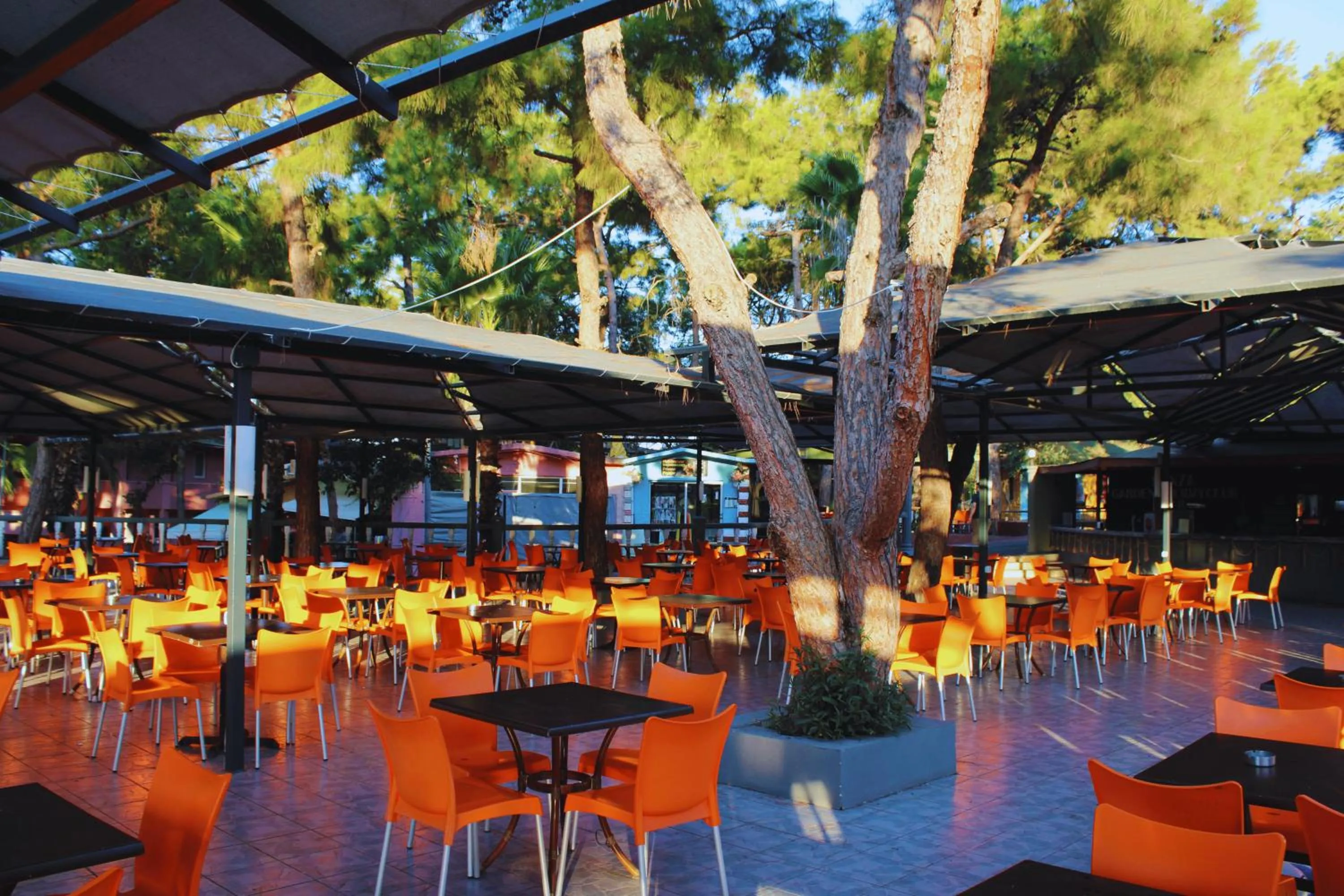 Day in Senza Garden Holiday Club - Ultra All Inclusive