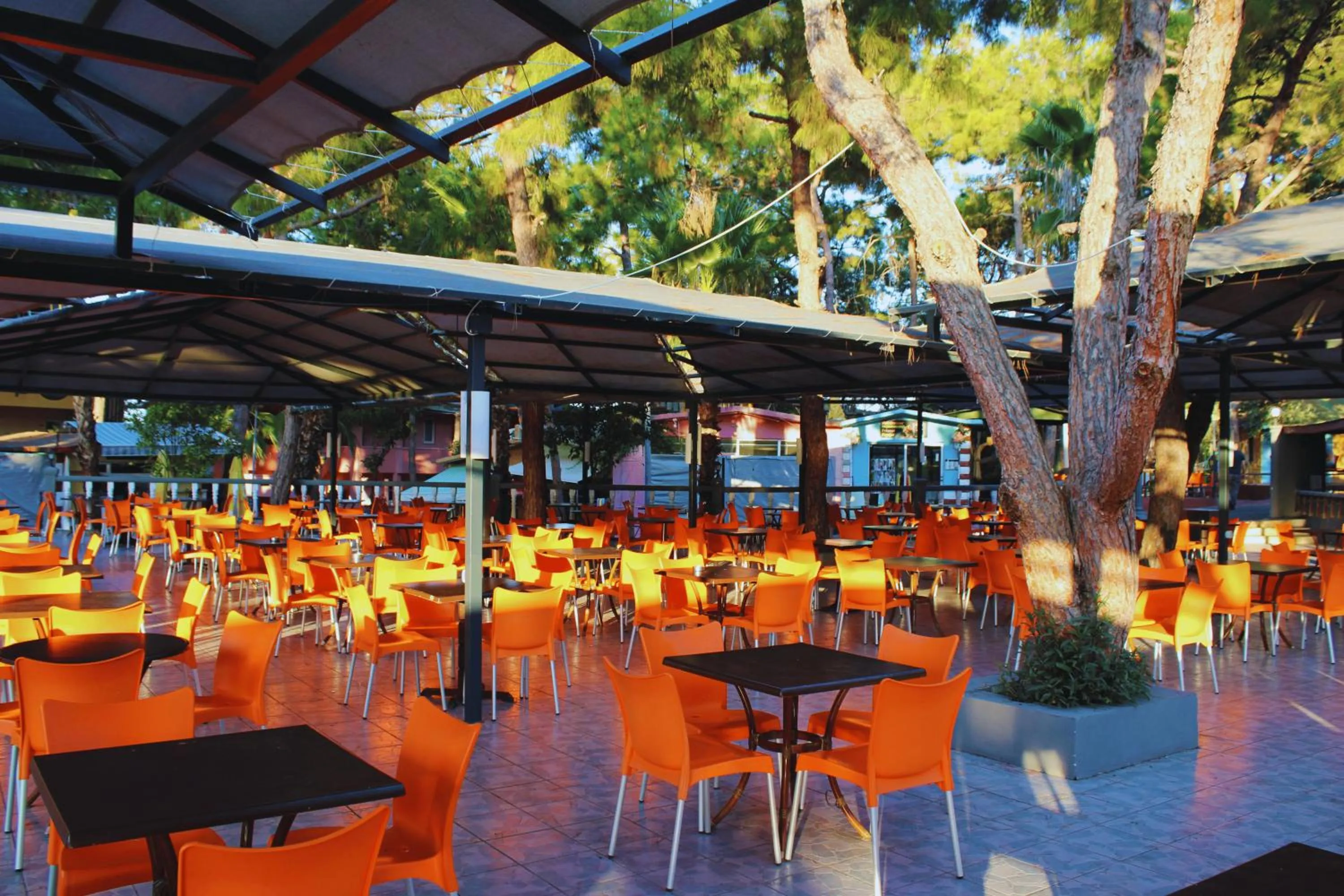 Seating area in Senza Garden Holiday Club - Ultra All Inclusive