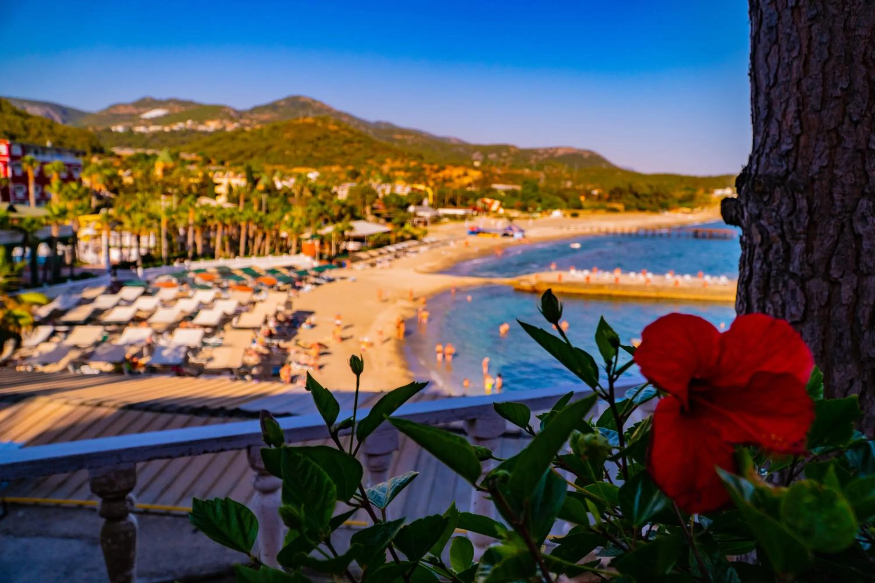 View (from property/room) in Senza Garden Holiday Club - Ultra All Inclusive