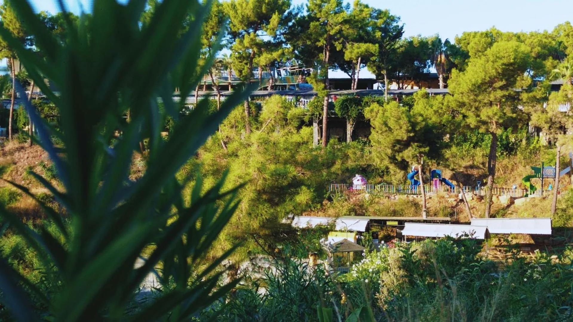Natural landscape in Senza Garden Holiday Club - Ultra All Inclusive
