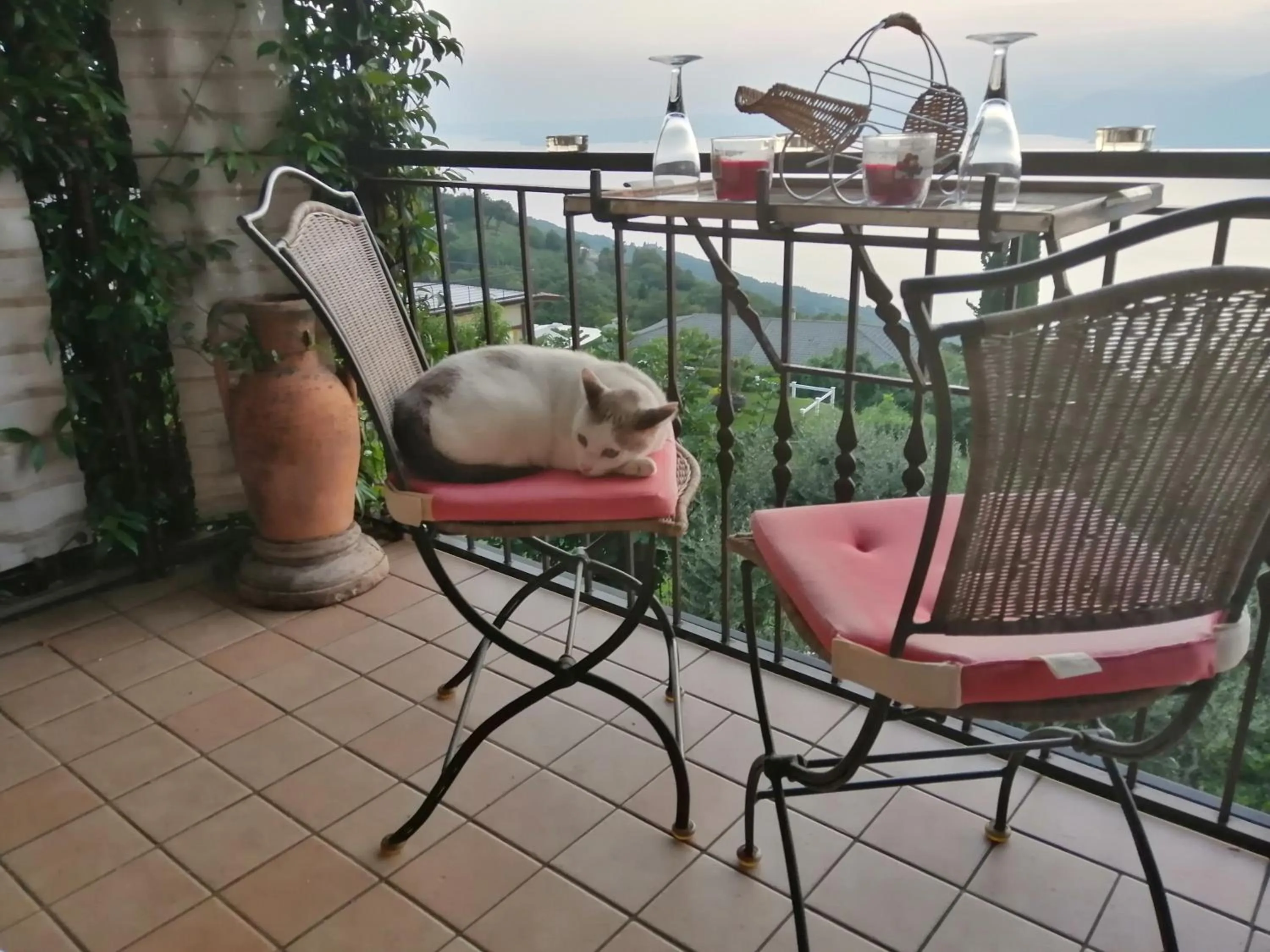 Day in B&B da Paolo con vista Lago di Garda