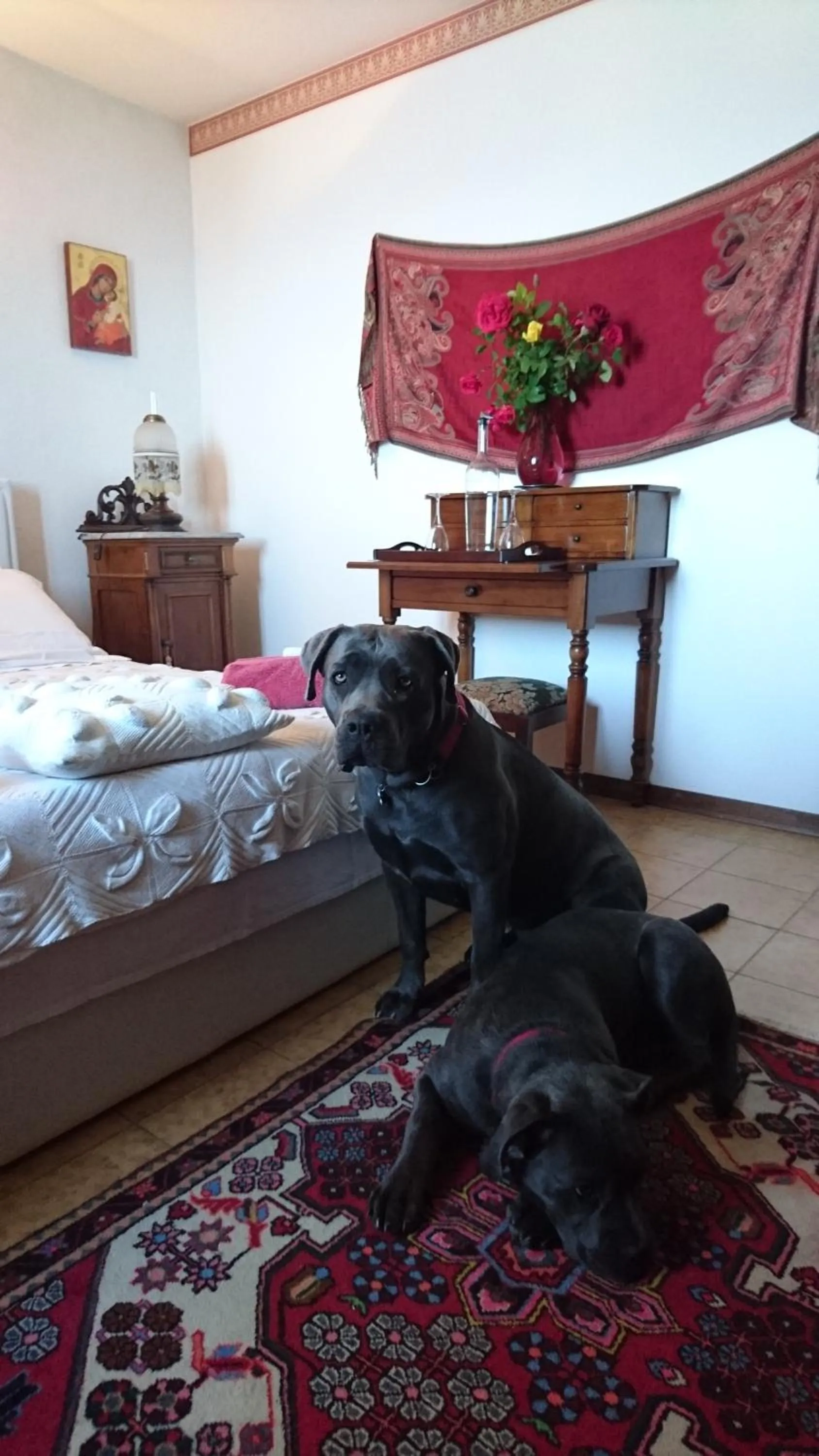 Animals, Bed in B&B da Paolo con vista Lago di Garda
