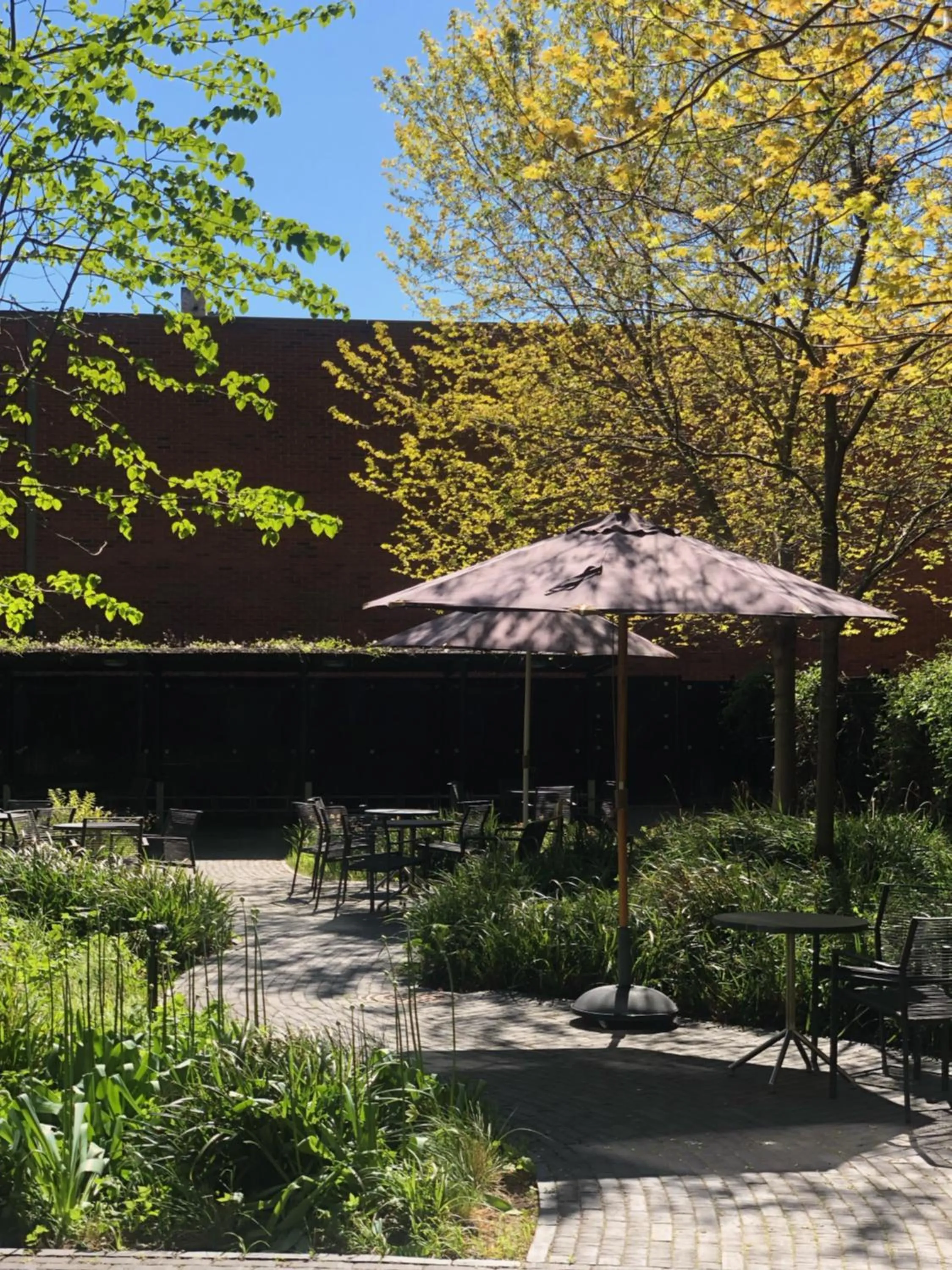 Garden in Wakeup Copenhagen - Borgergade