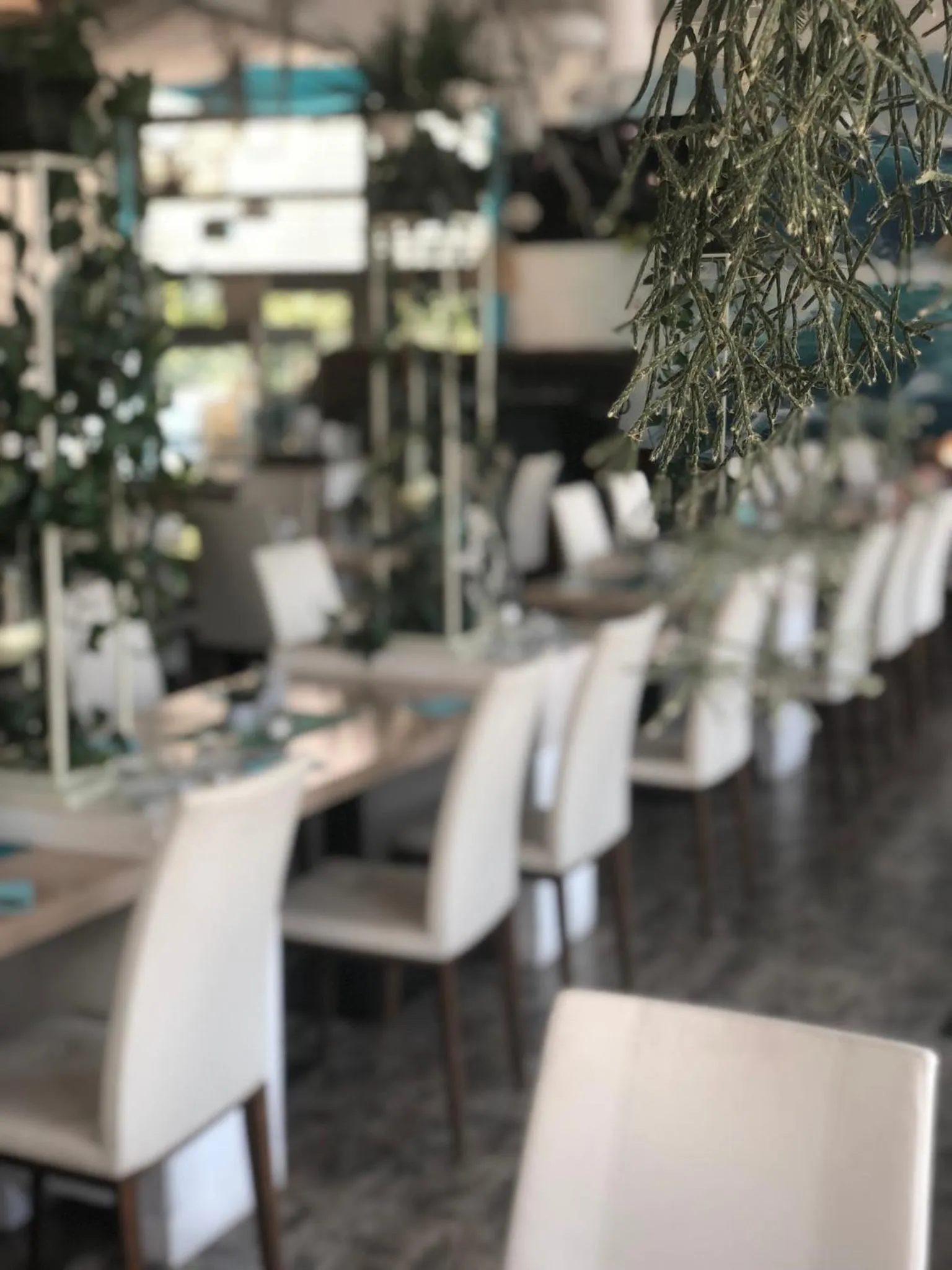 Restaurant/places to eat in Aqua Hotel