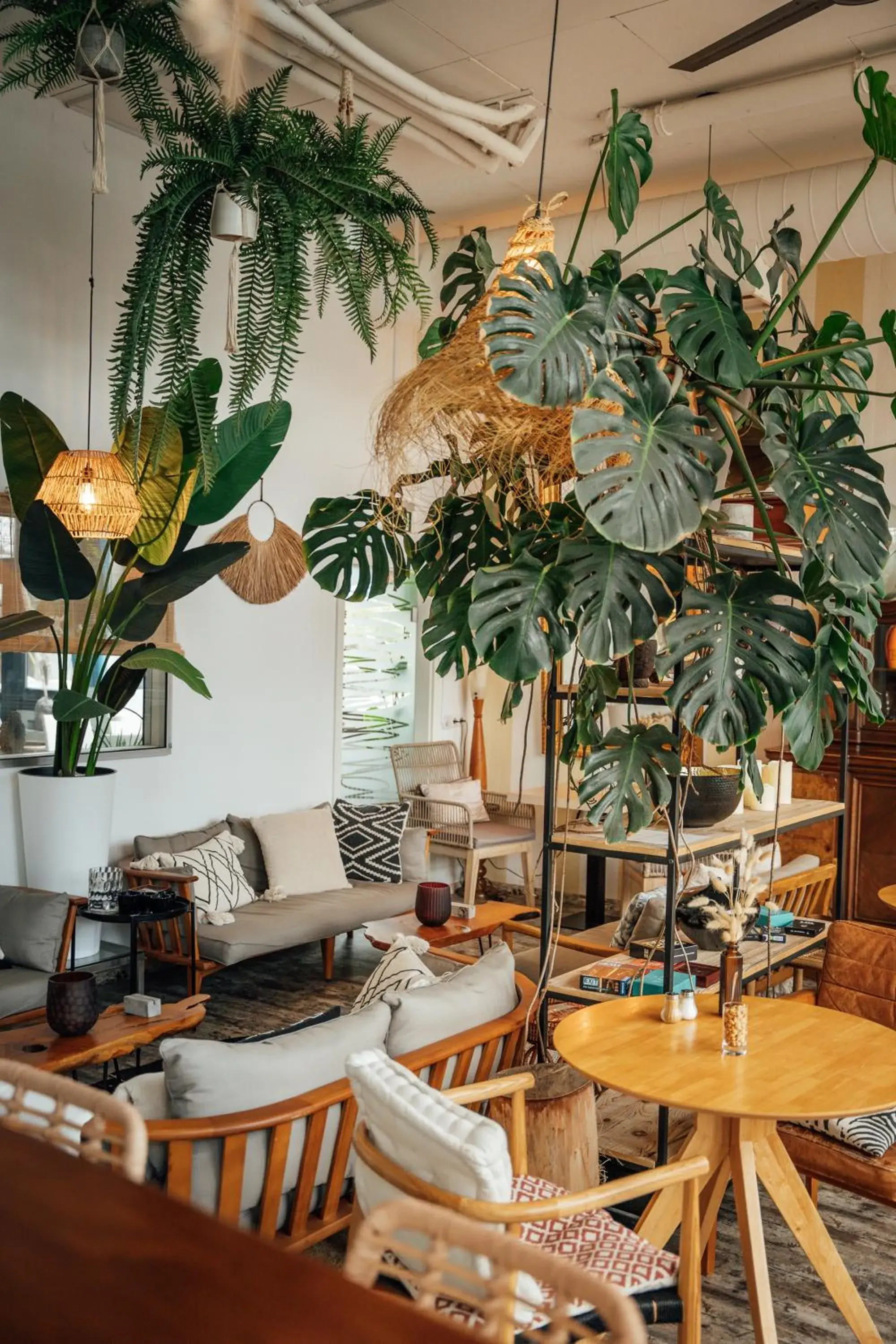 Restaurant/places to eat in Aqua Hotel Restaurant/places to eat in Aqua Hotel