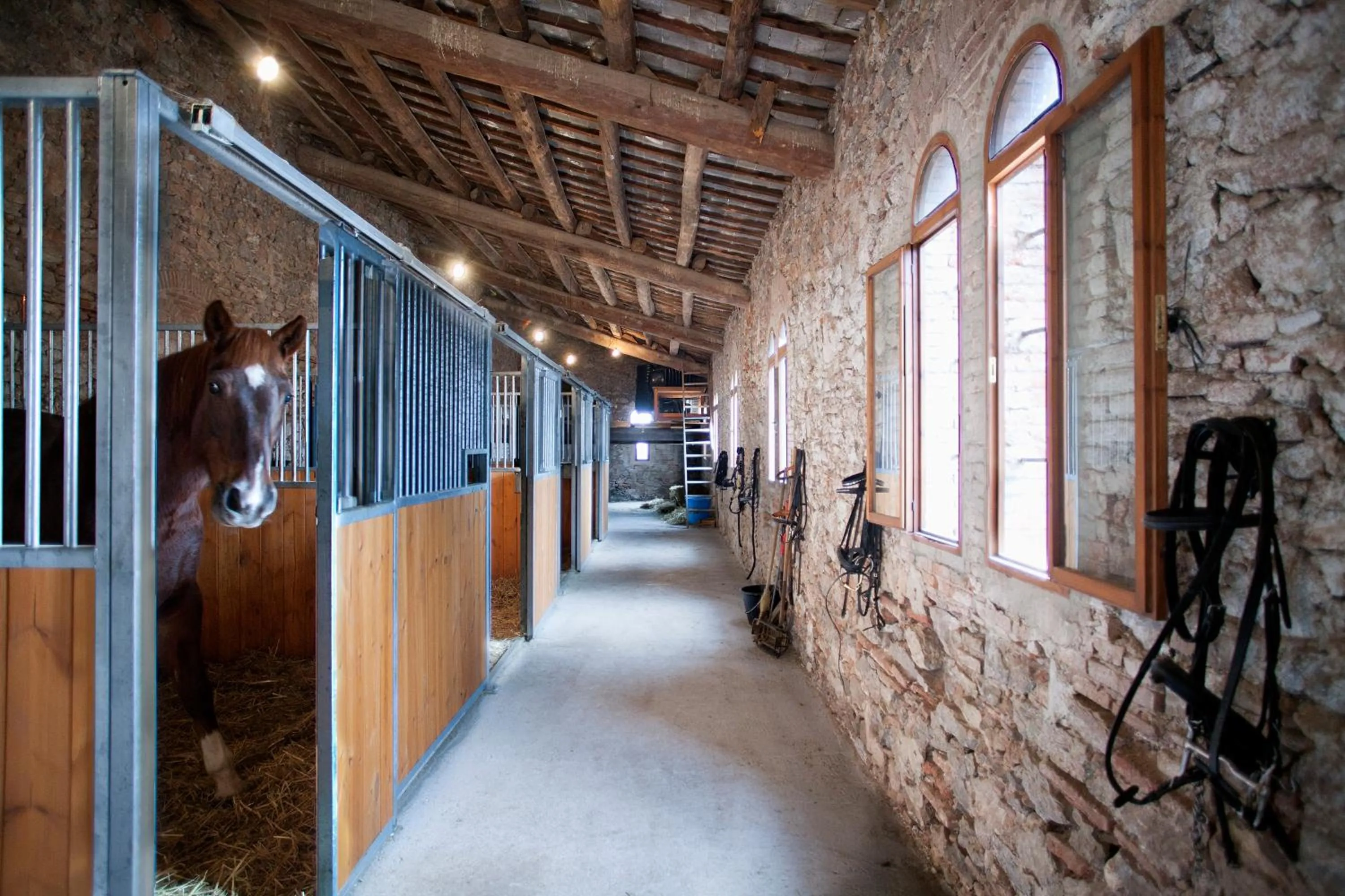 Facade/entrance in Can Borrell