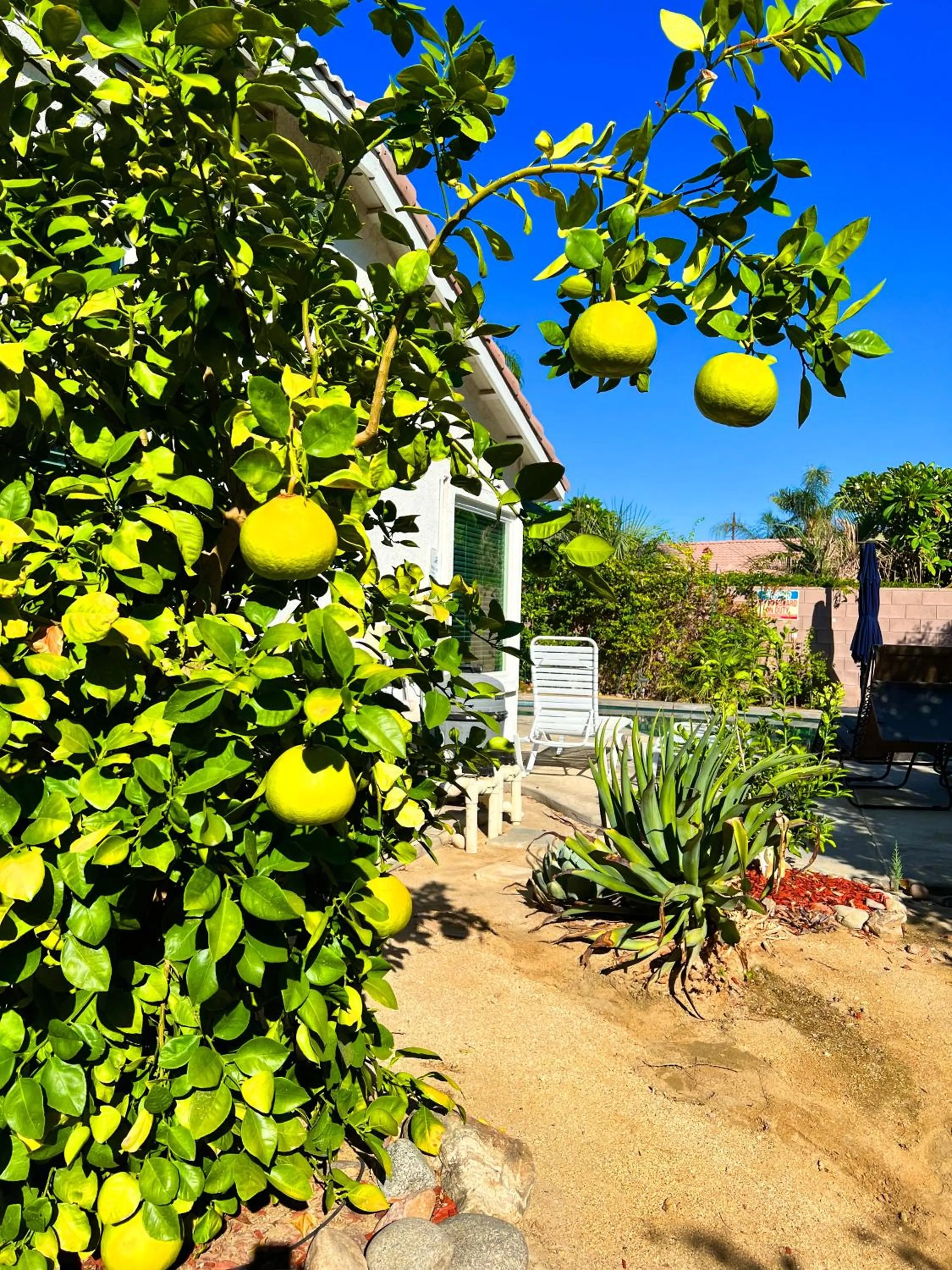 Garden view in 3 bedroom house with Private Pool, Spa&Golf Course!