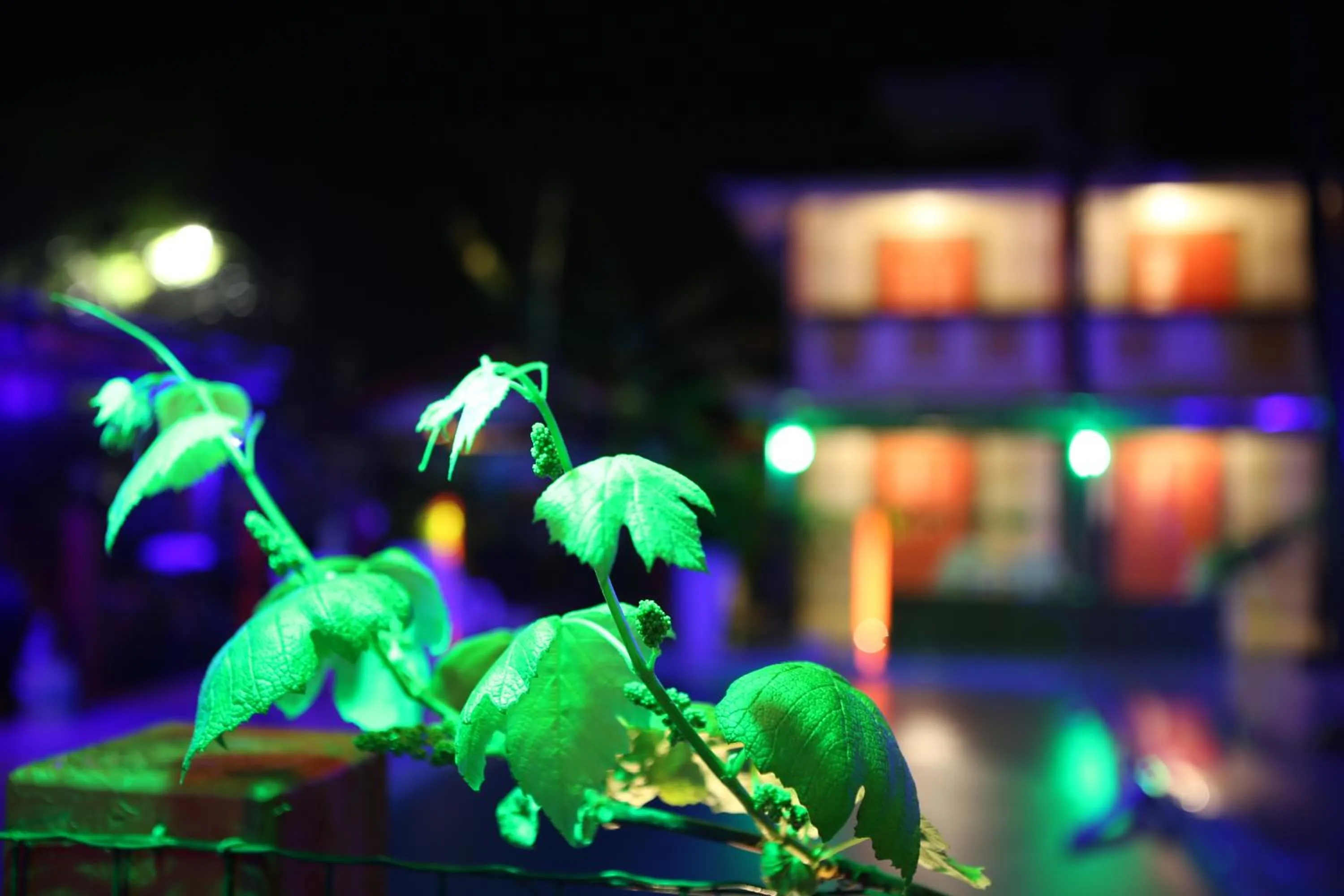 Swimming pool in Hotel Ferrugem Eco Village