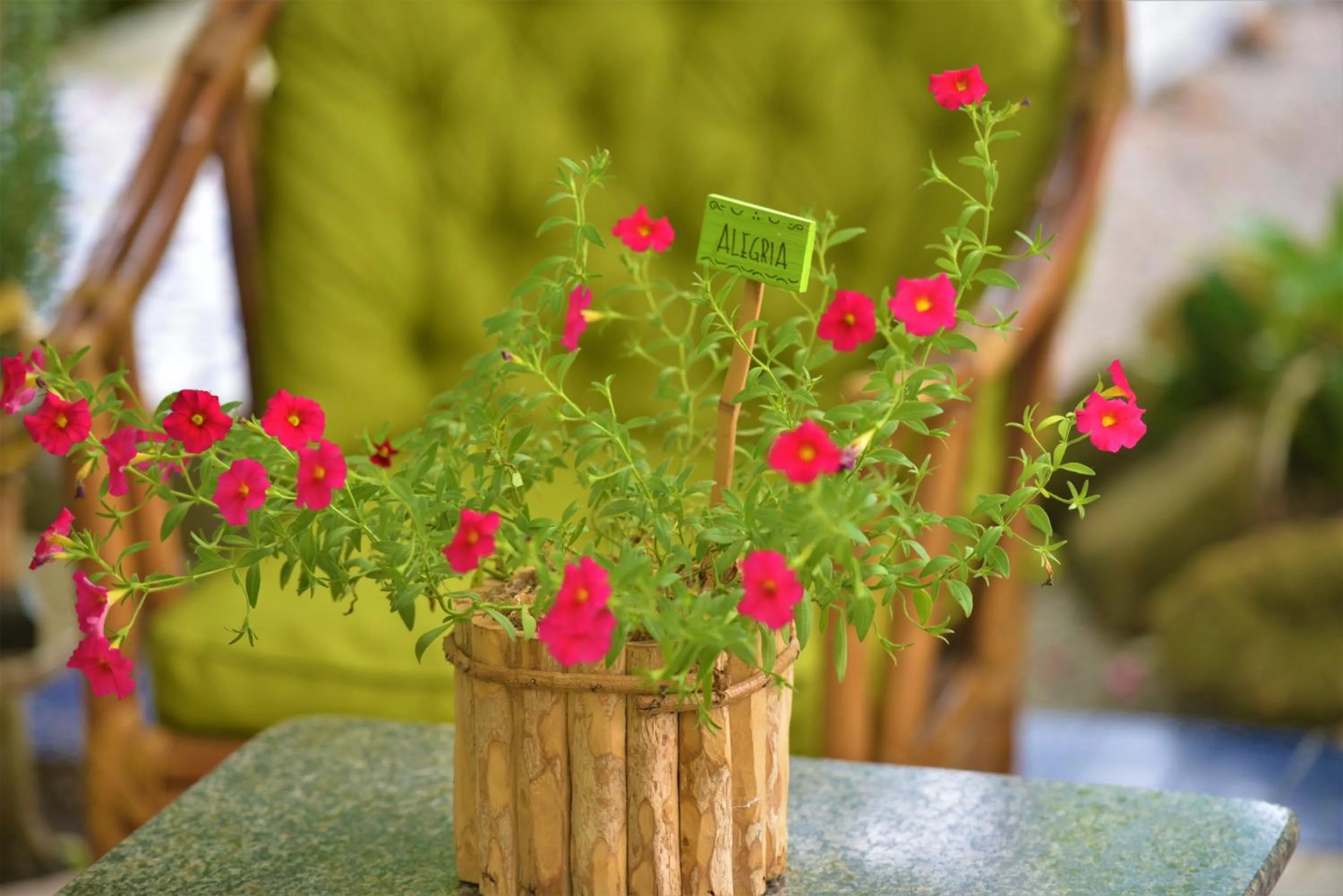 Garden in Hotel Ferrugem Eco Village