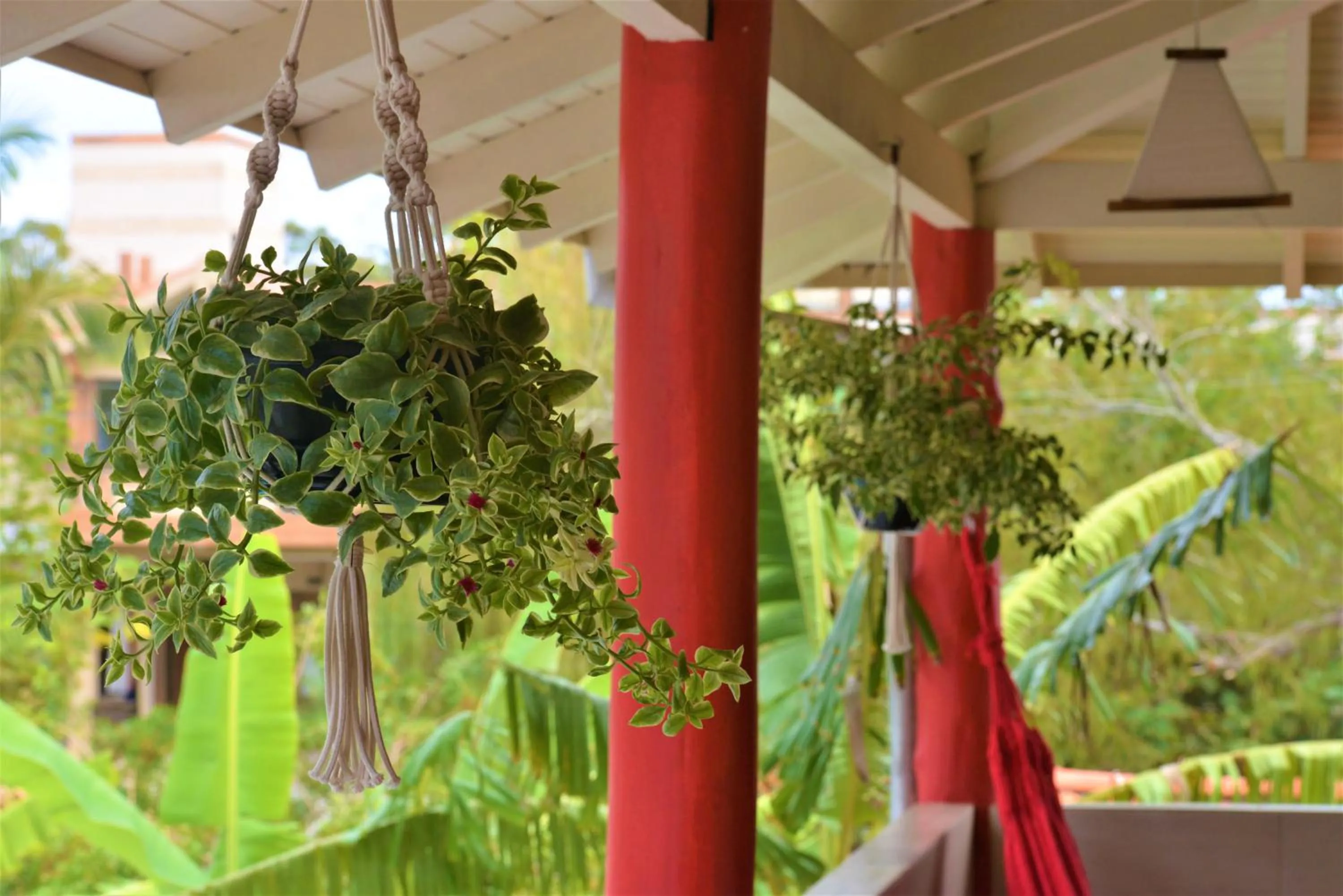 View (from property/room) in Hotel Ferrugem Eco Village