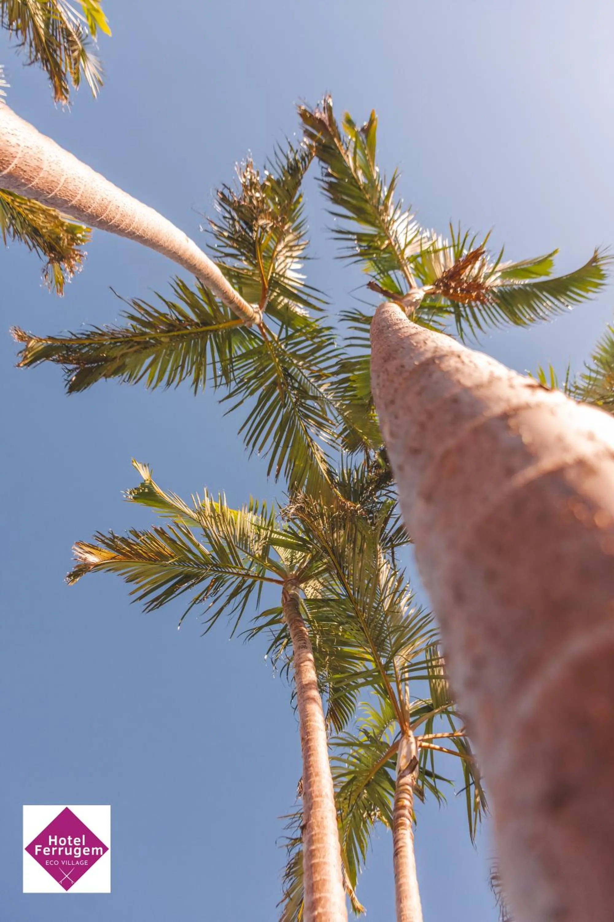 Natural landscape in Hotel Ferrugem Eco Village