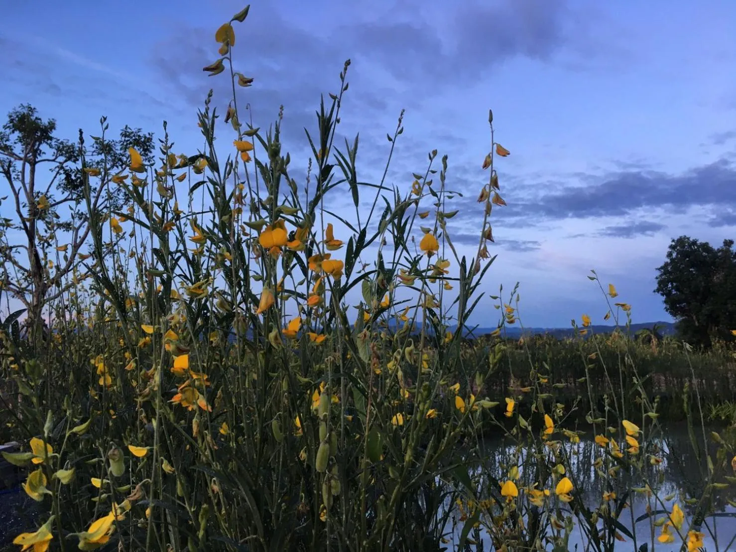 Chapulin Natural Resort