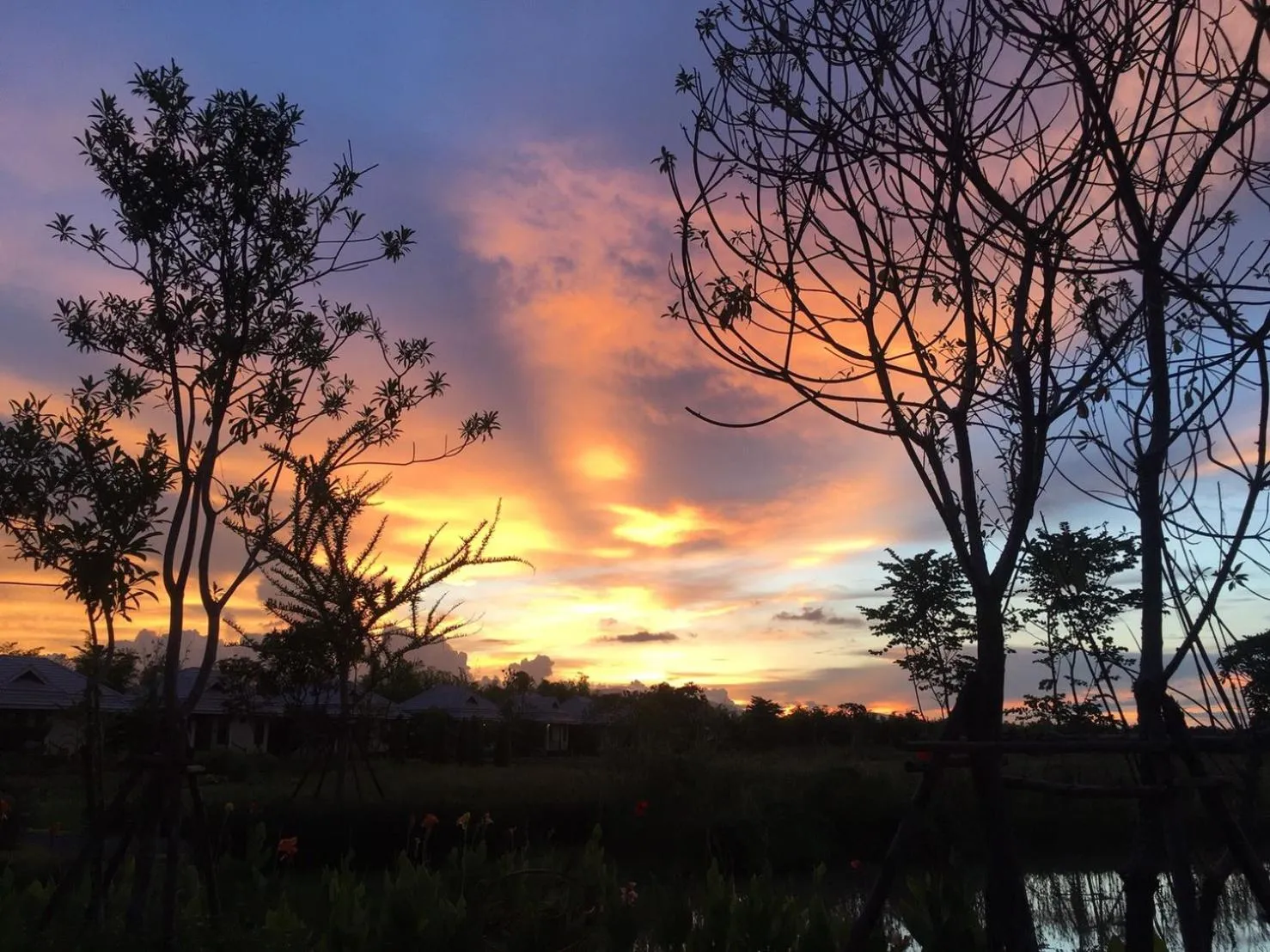 Chapulin Natural Resort