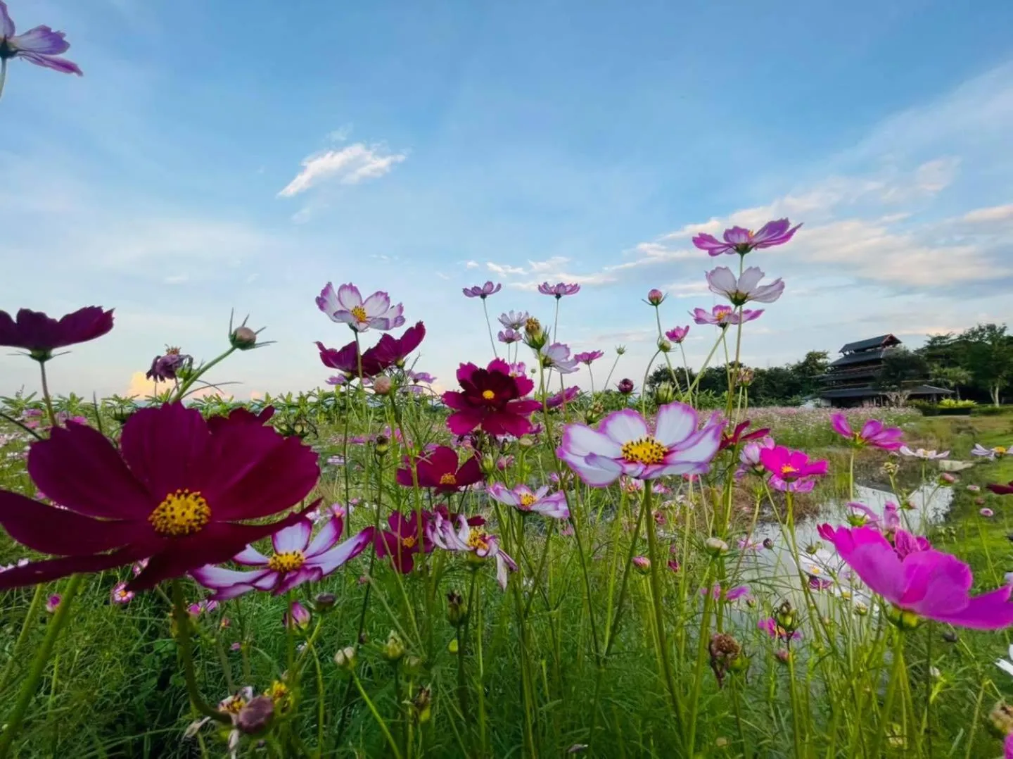Chapulin Natural Resort
