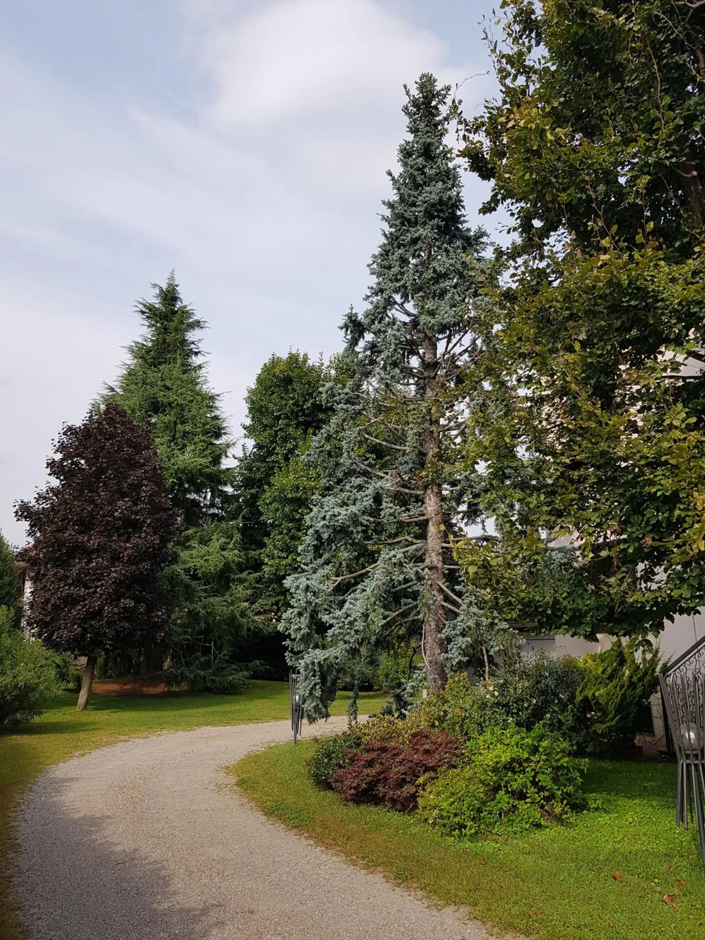 Garden view in il nido della dani