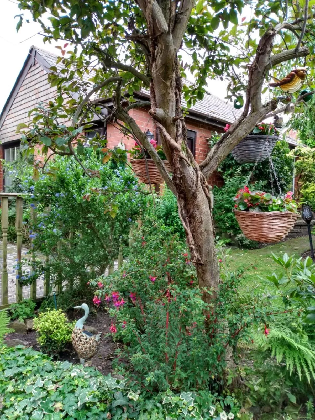 Garden in Hollingworth Lake Guest House Room Only Accommodation