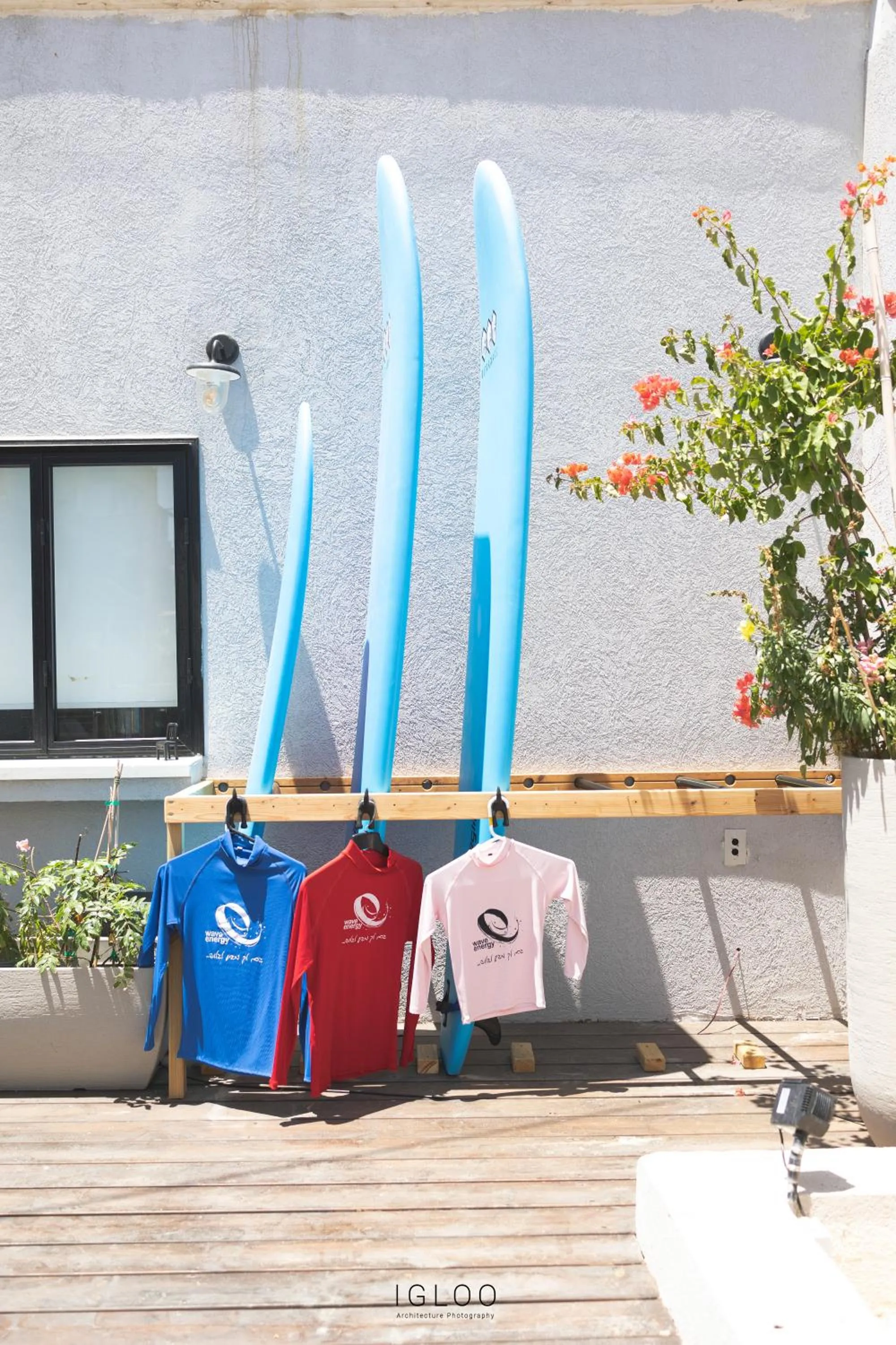 Windsurfing in Domus Bat Galim Hotel