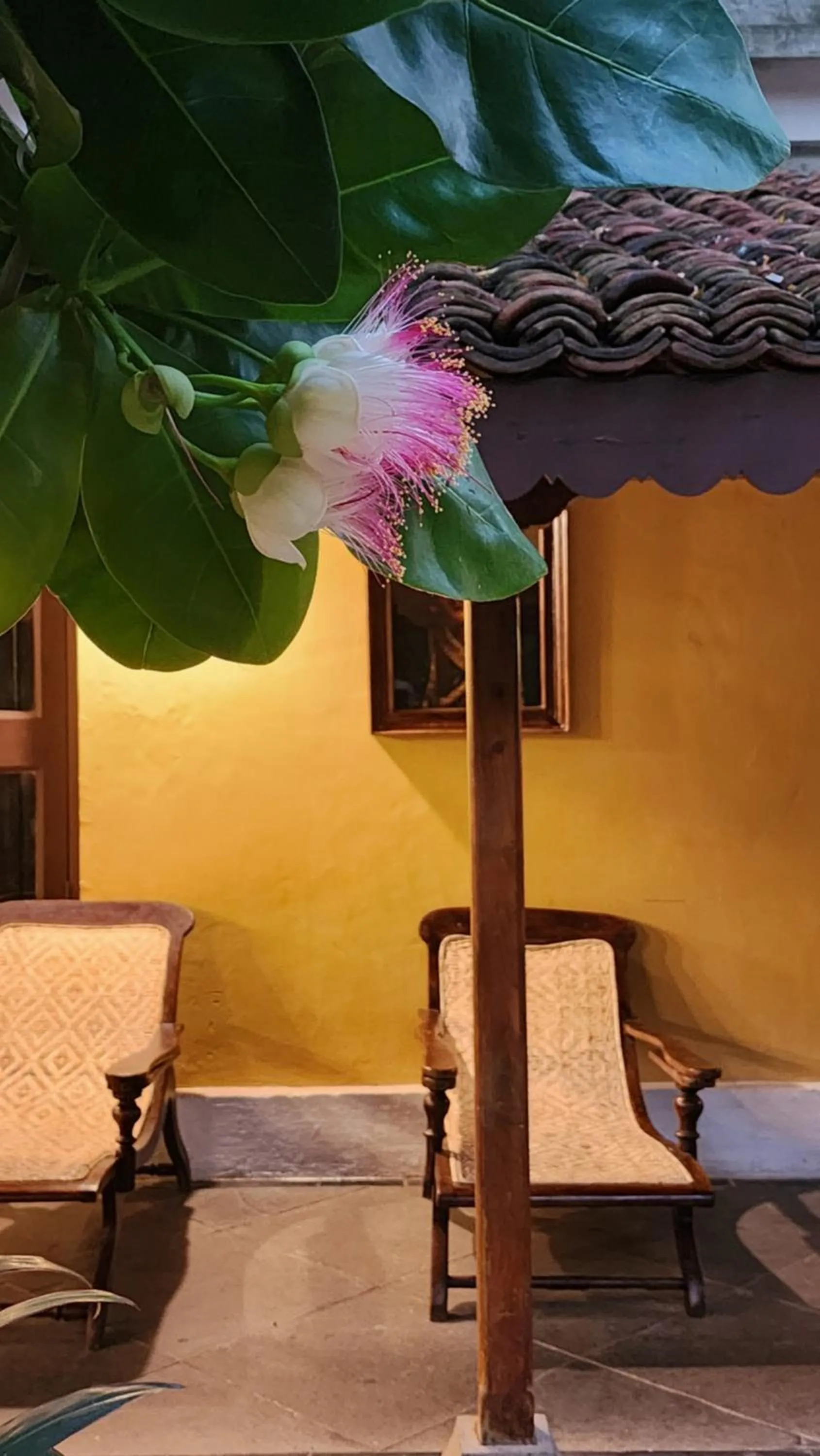 Patio in Kariappa House