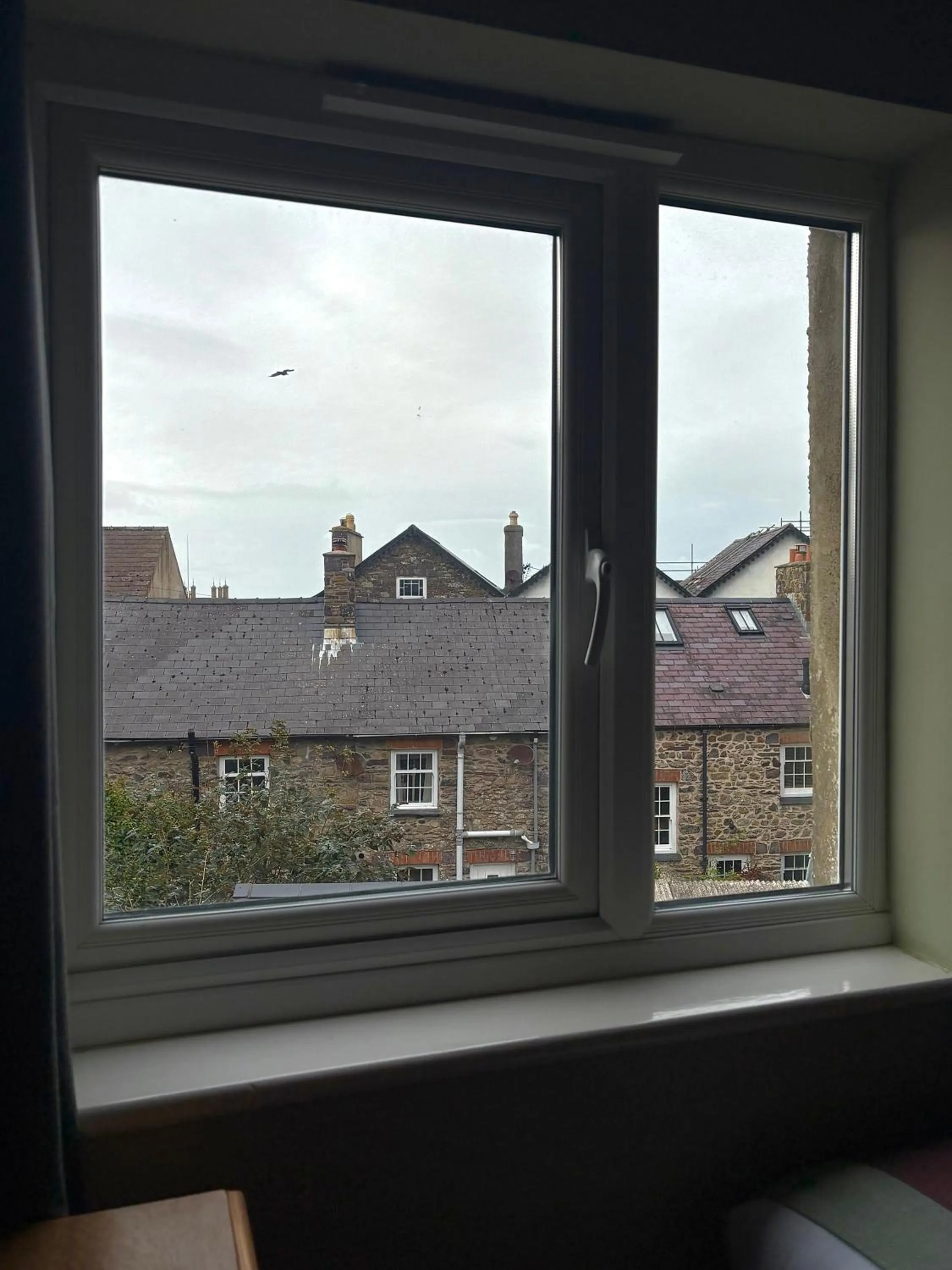 View (from property/room) in St. Davids Cross Hotel