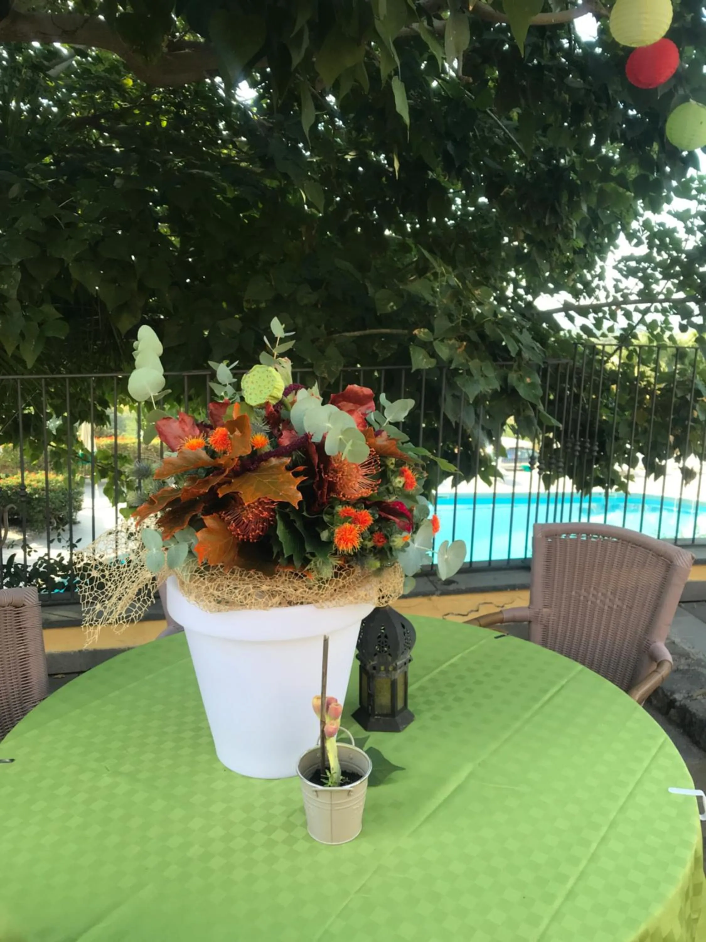 Agriturismo Serra San Biagio