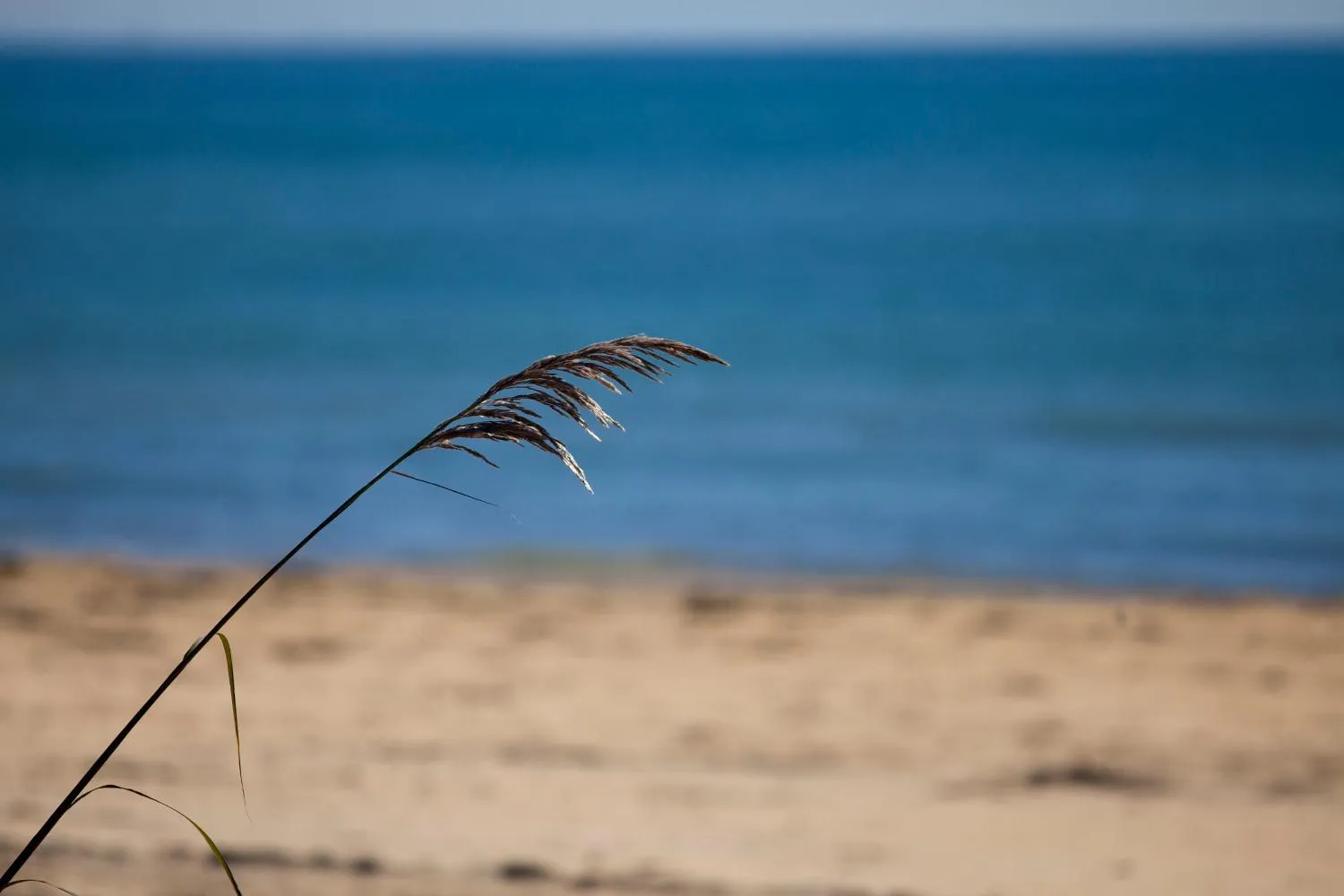 Spring in Bosco Canoro Bibione Resort