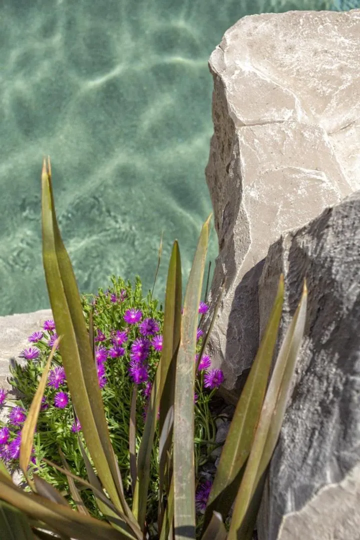 Bosco Canoro Bibione Resort