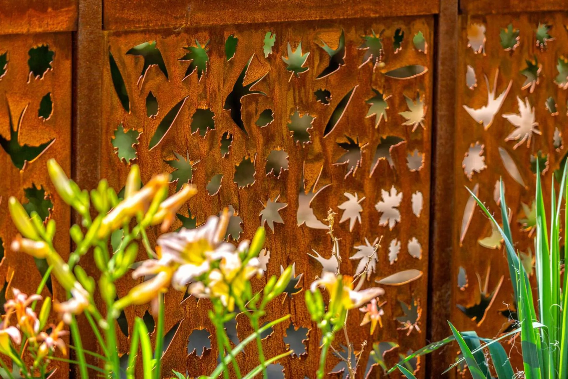 Bosco Canoro Bibione Resort