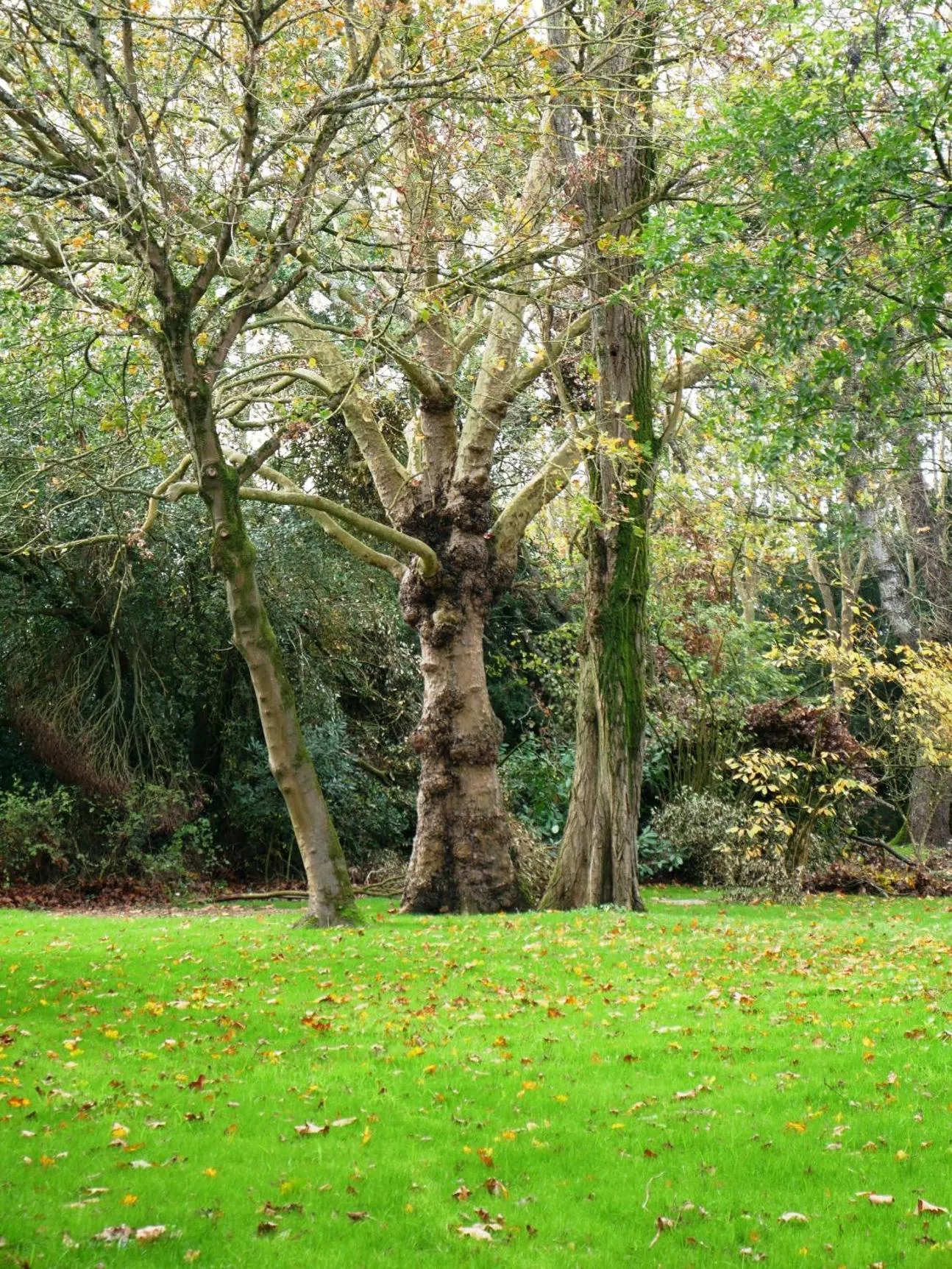KastellRen - Rennes - Grand parking privé