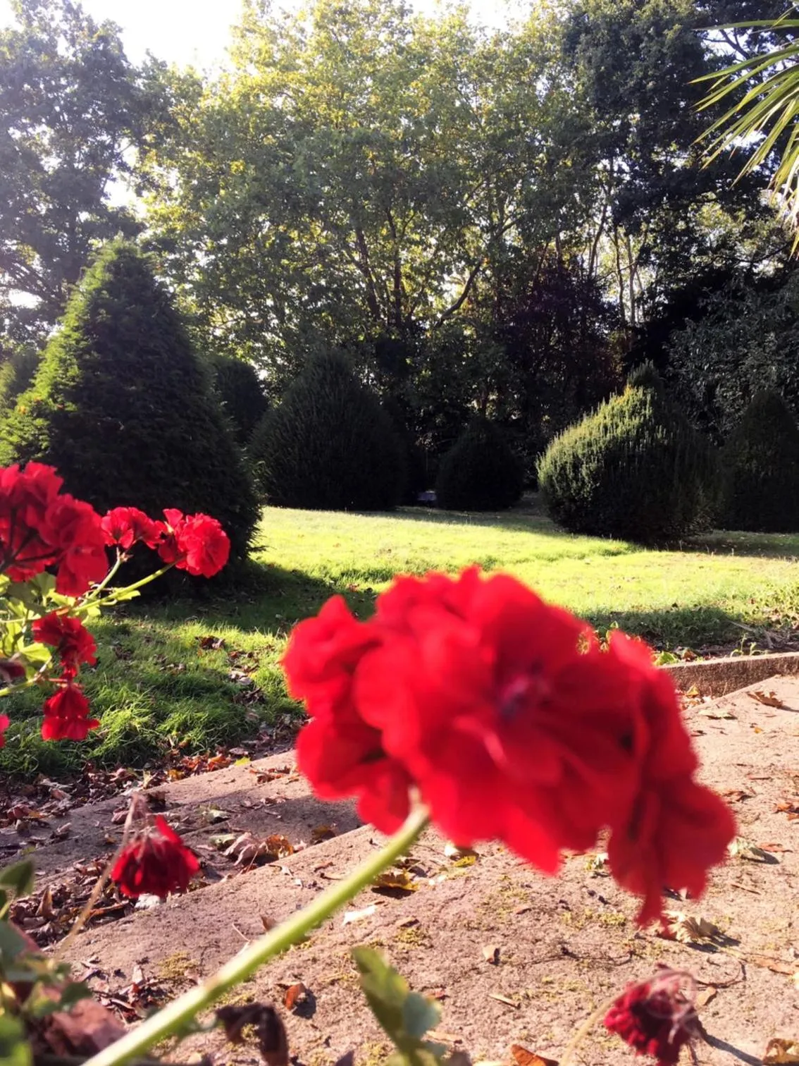 KastellRen - Rennes - Grand parking privé