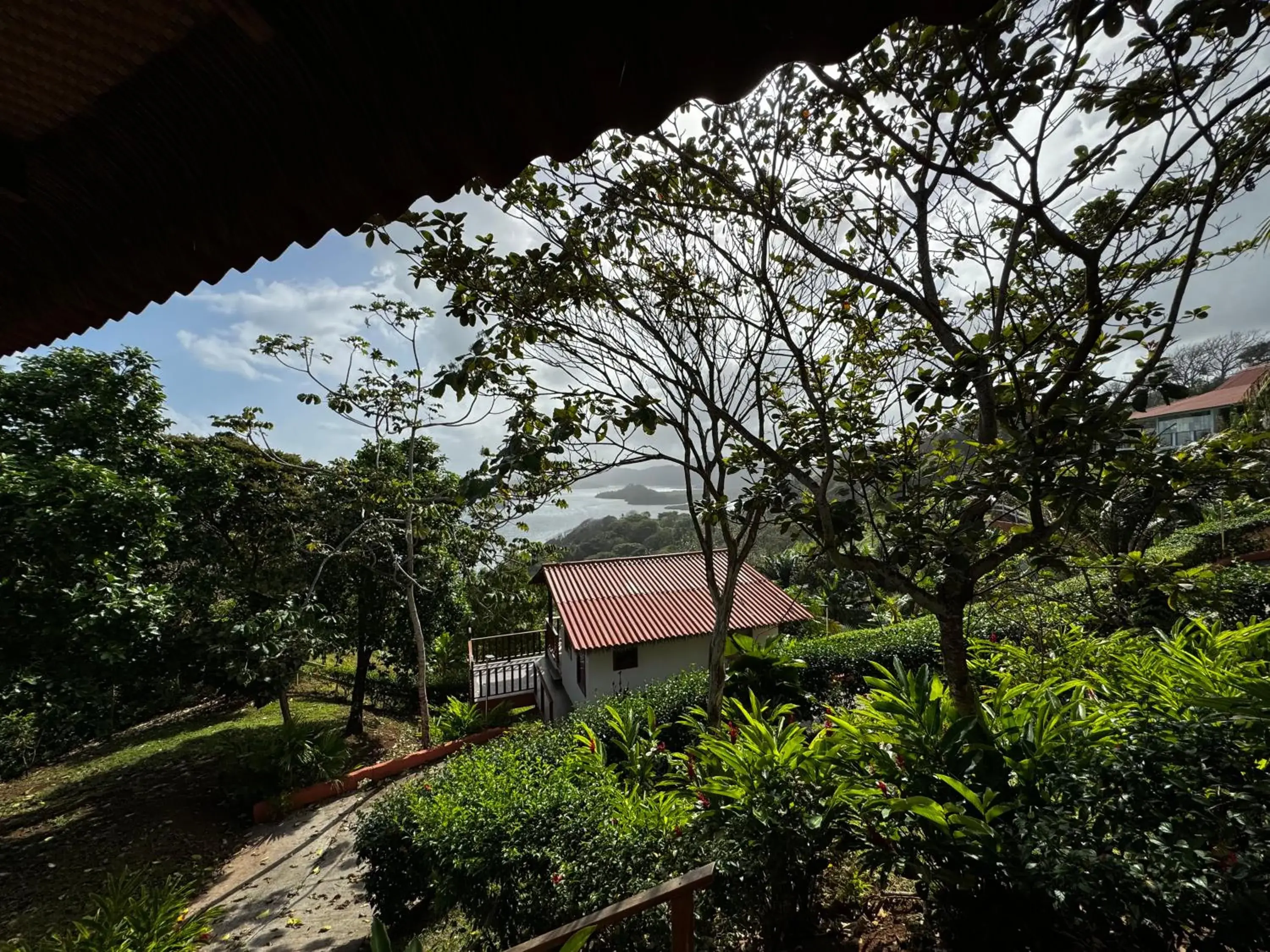 Deluxe Single Room in Ciel y Miel Deluxe Single Room in Ciel y Miel