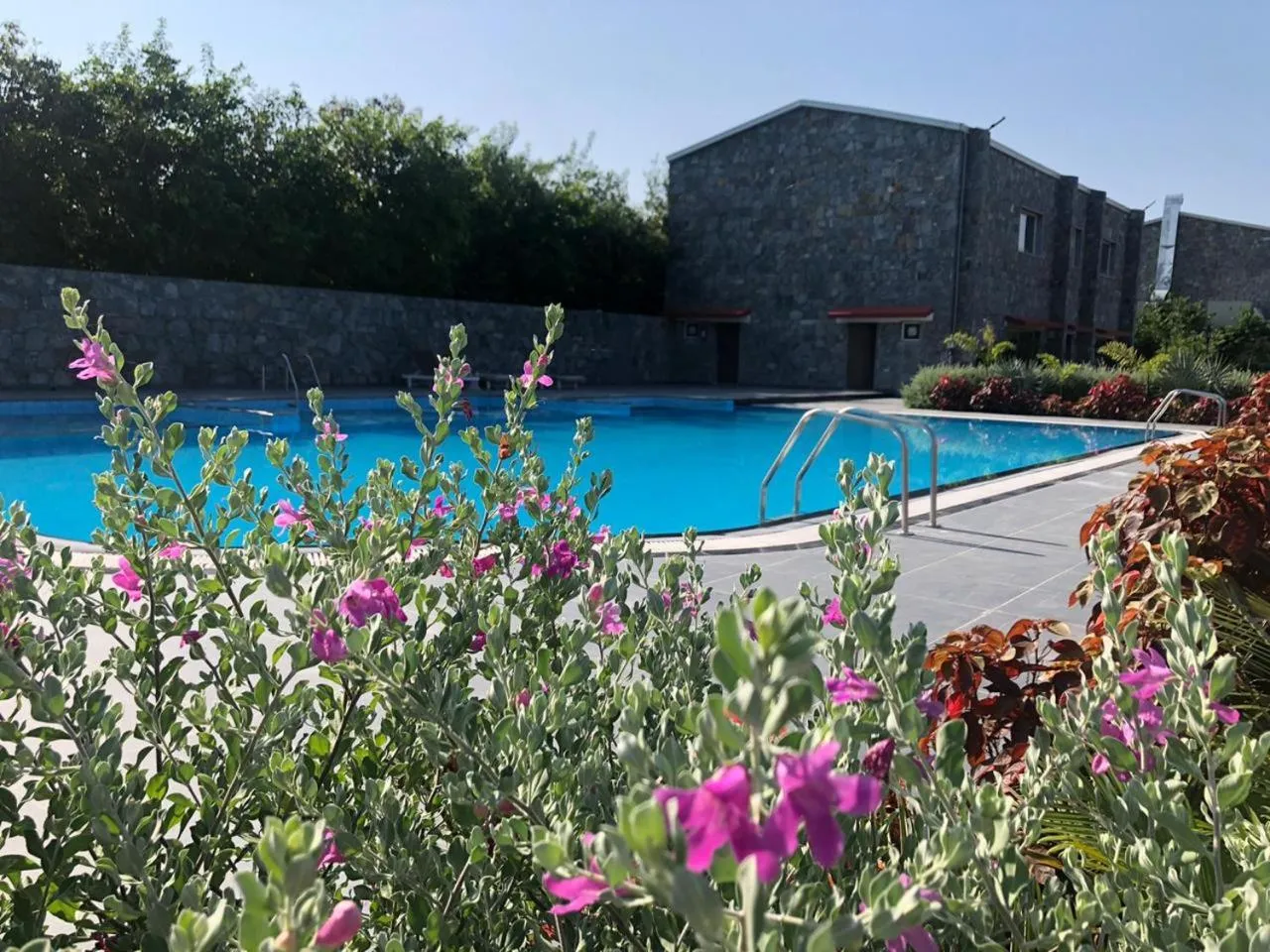 Swimming pool in Lal Bagh Resort Ranakpur - Step into the wild, Stay in luxury