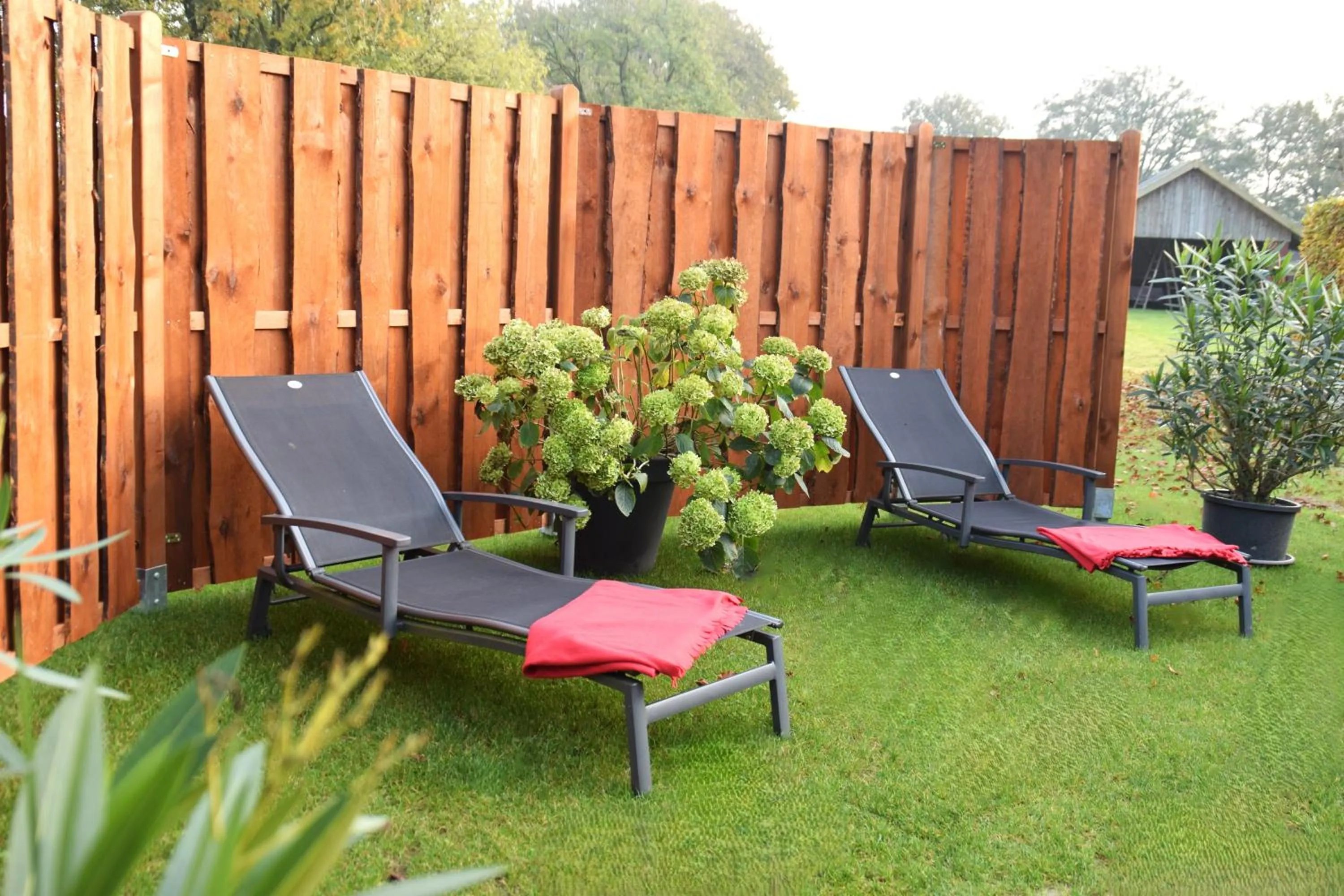 Garden in DZ/EZ Lodberger Scheunencafe