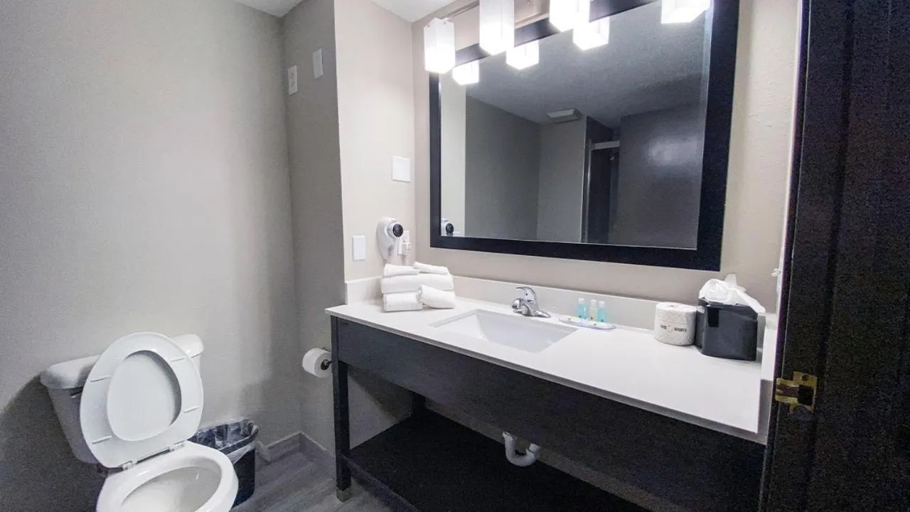 Bathroom in Quality Inn Roseville-Detroit North
