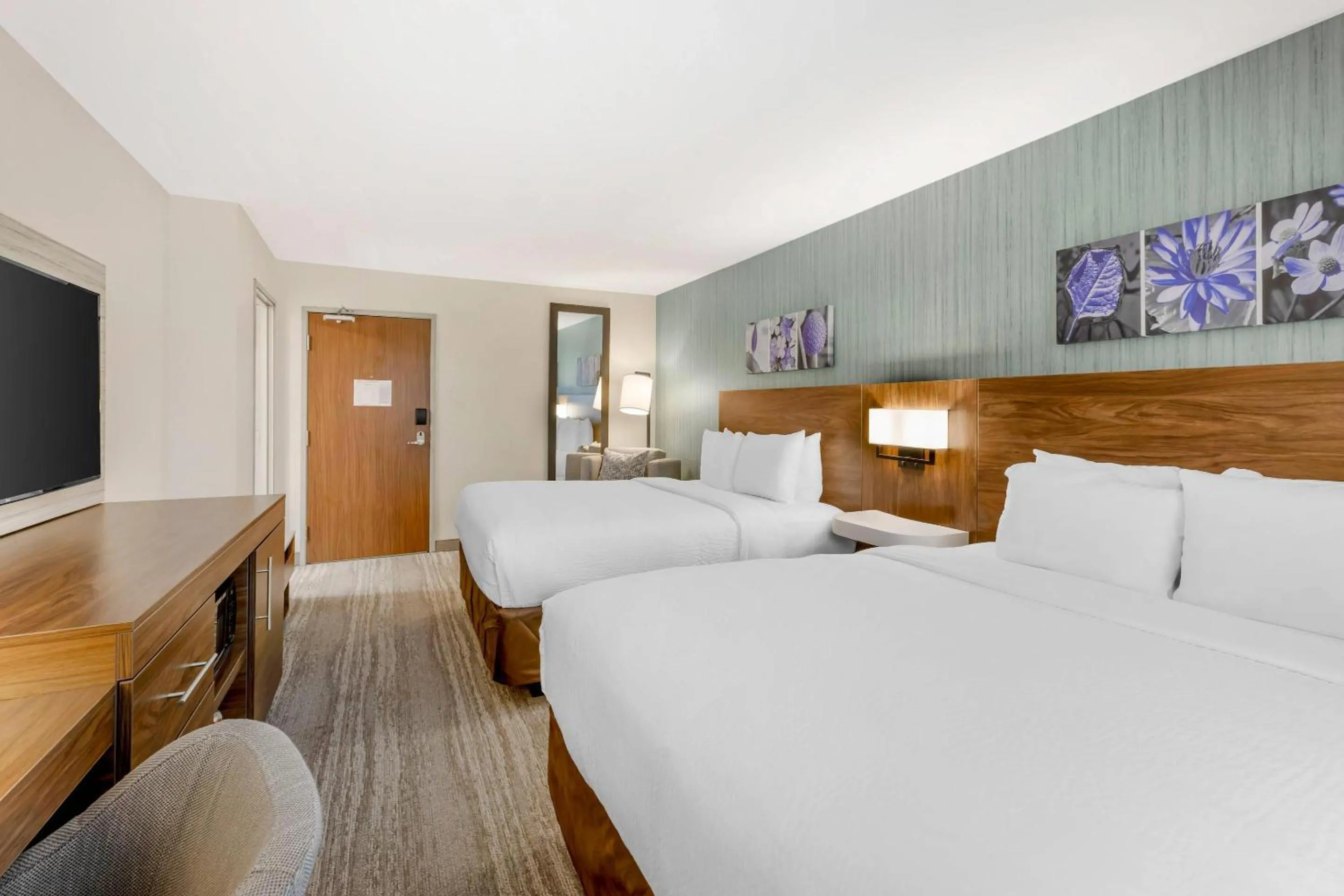 Bedroom, Bed in Sleep Inn Oakbrook Terrace - Chicago