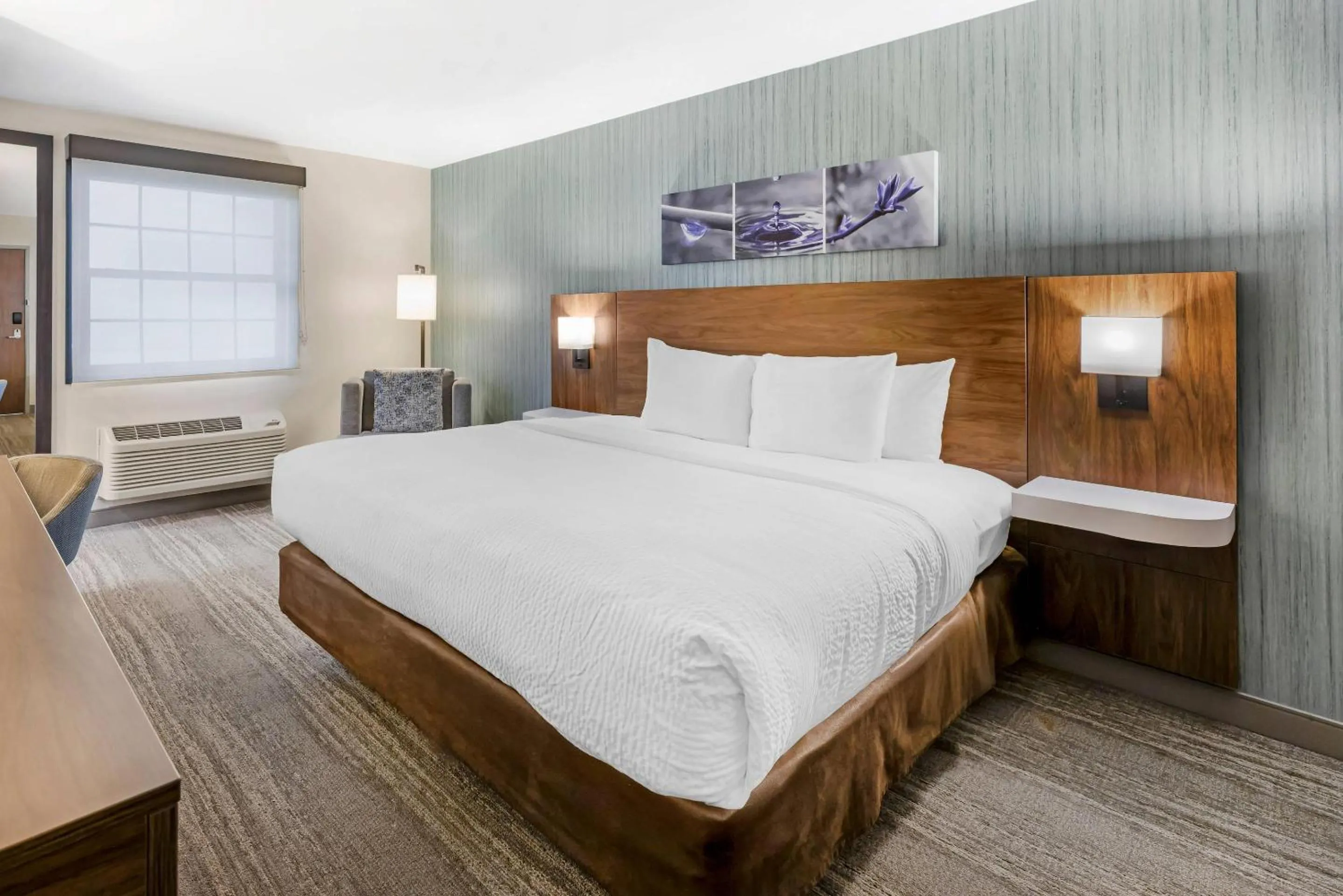 Bedroom, Bed in Sleep Inn Oakbrook Terrace - Chicago