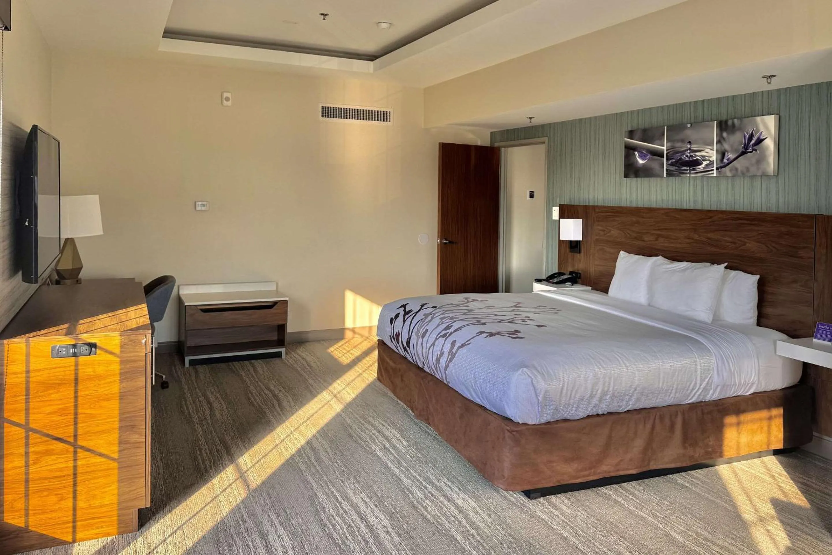 Bedroom, Bed in Sleep Inn Oakbrook Terrace - Chicago