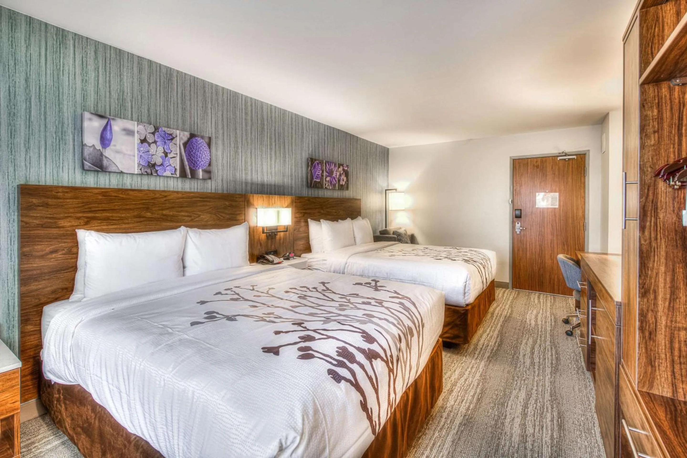 Bedroom, Bed in Sleep Inn Oakbrook Terrace - Chicago