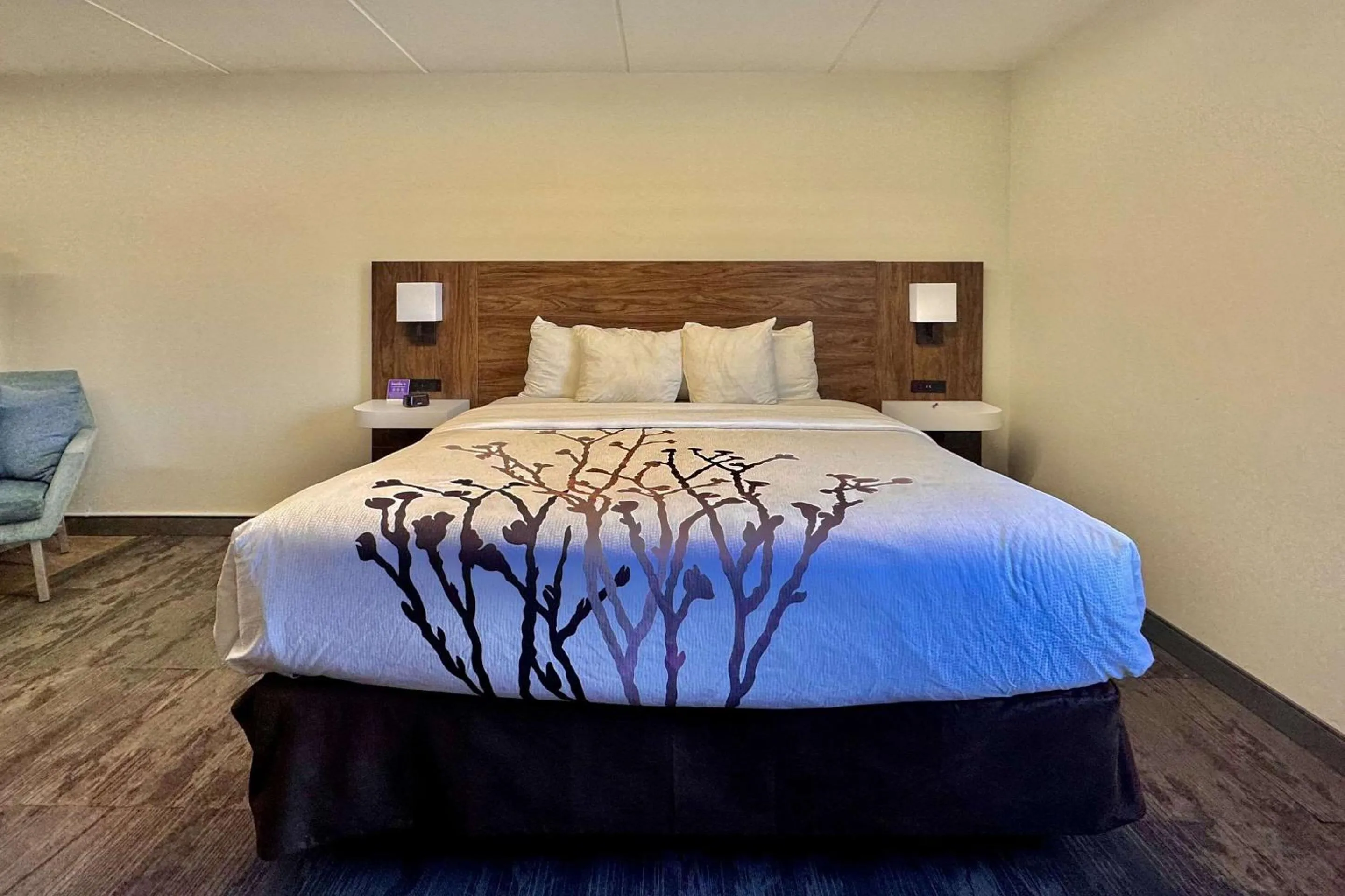 Bedroom, Bed in Sleep Inn Oakbrook Terrace - Chicago